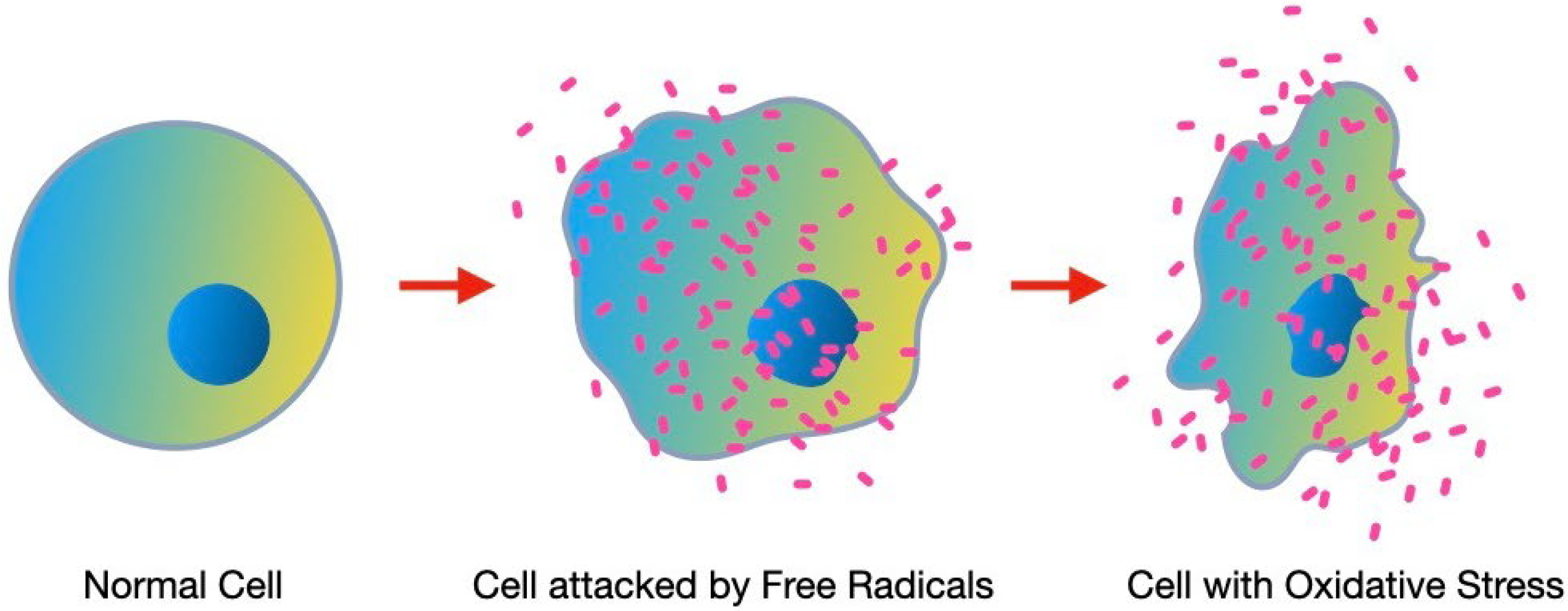 Nutrients 16 00113 g001