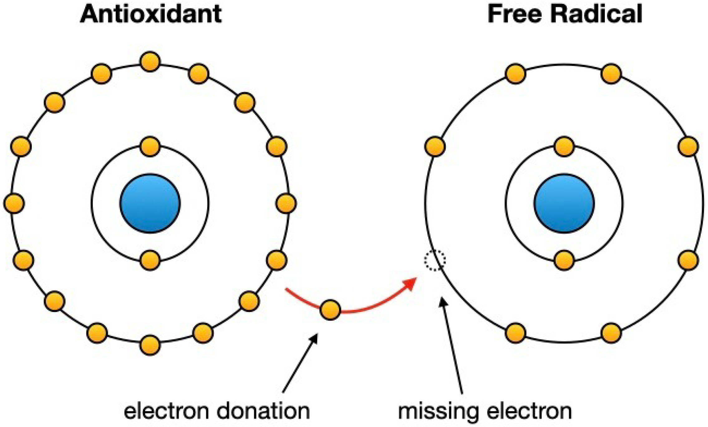 Nutrients 16 00113 g002