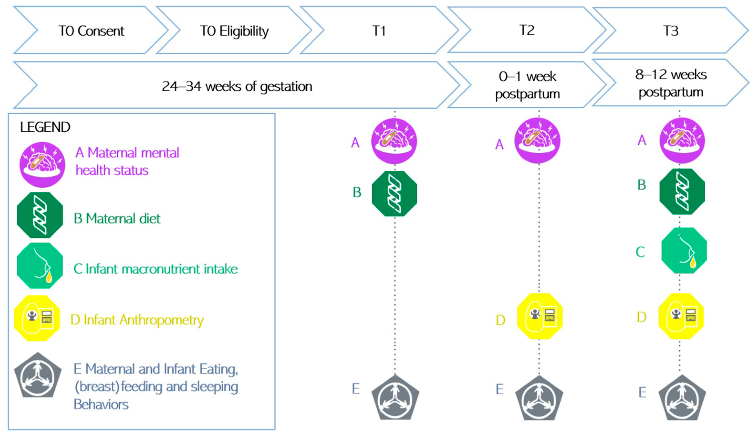 Nutrients 16 00124 g002