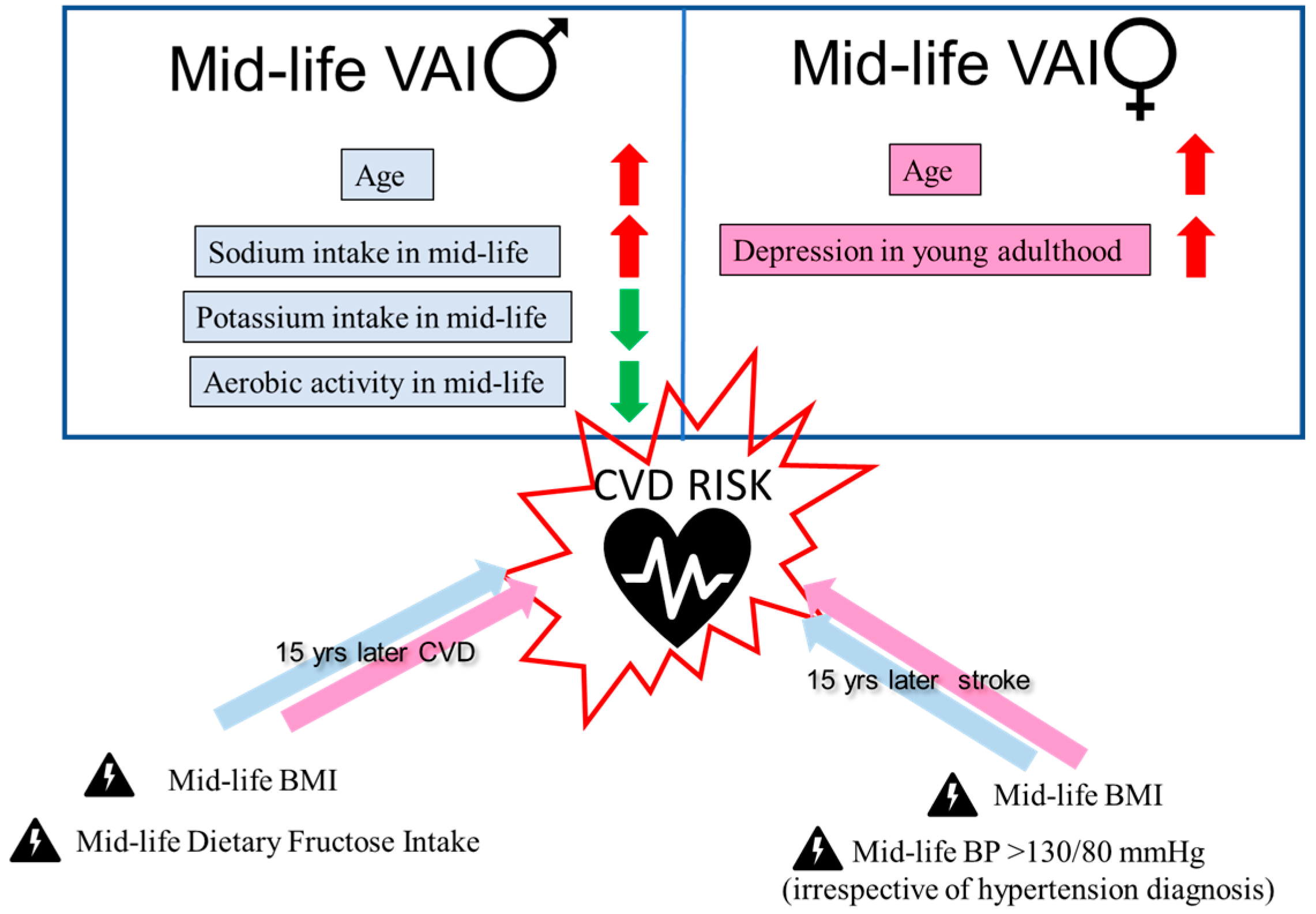 Nutrients 16 00127 g001