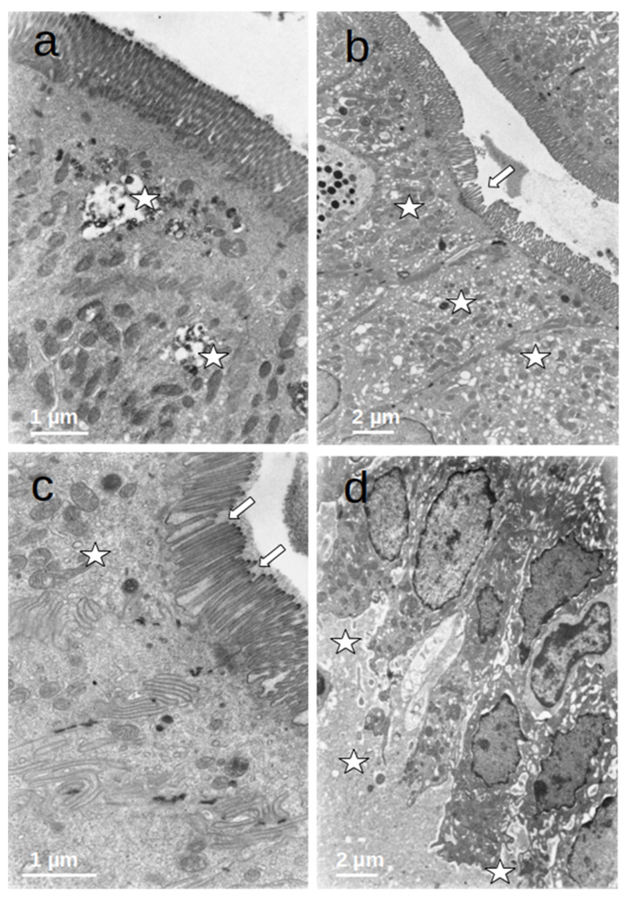 Nutrients 16 00128 g004