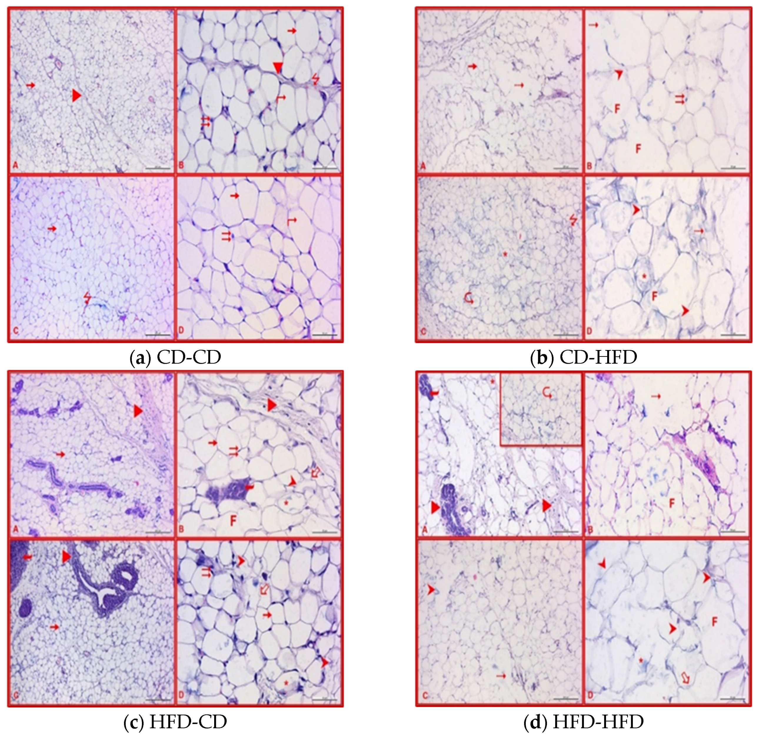 Nutrients 16 00150 g006