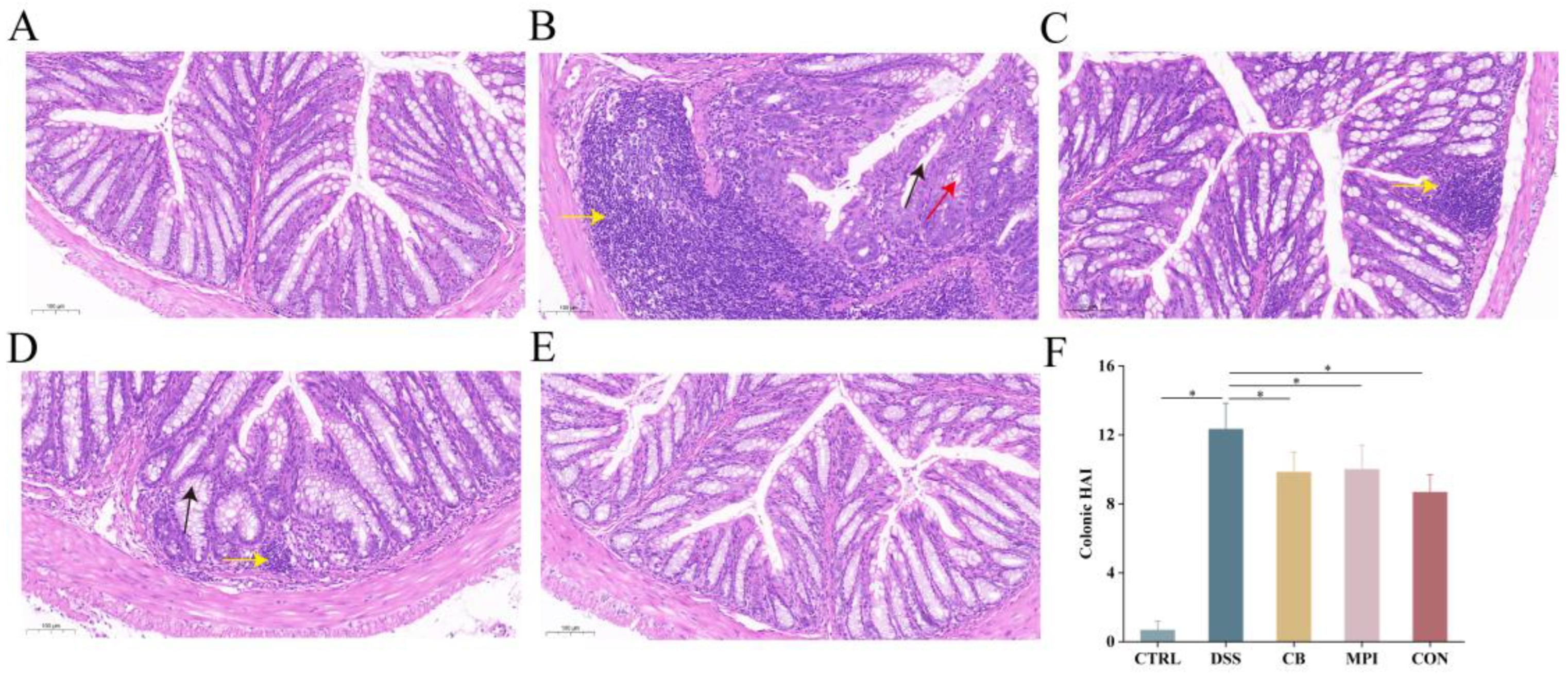 Nutrients 16 00153 g002