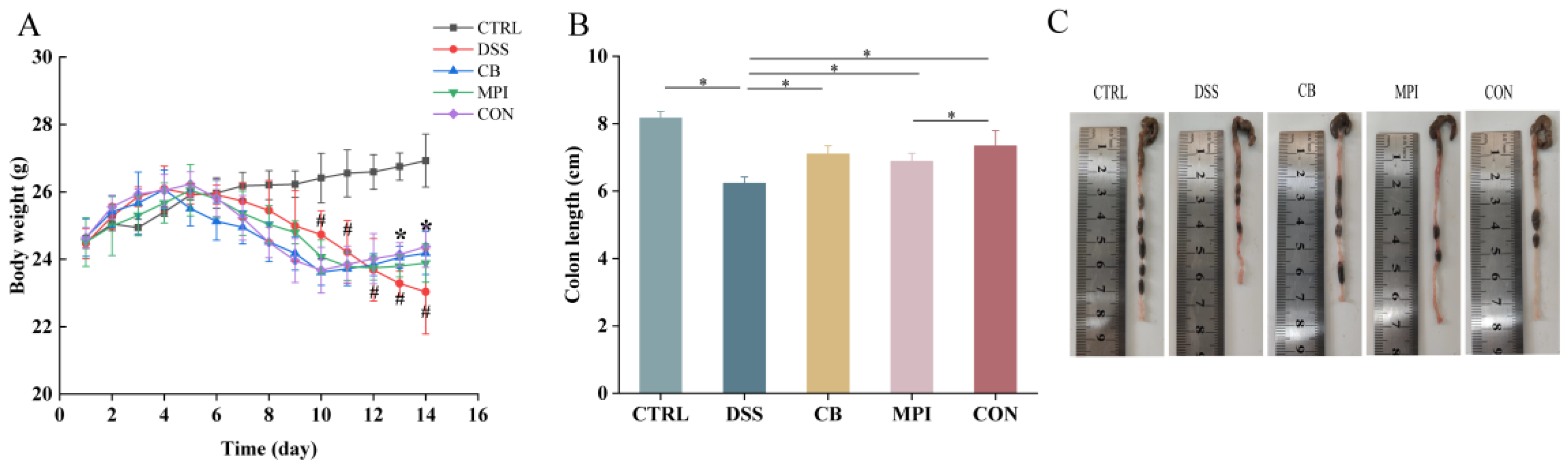 Nutrients 16 00153 g003