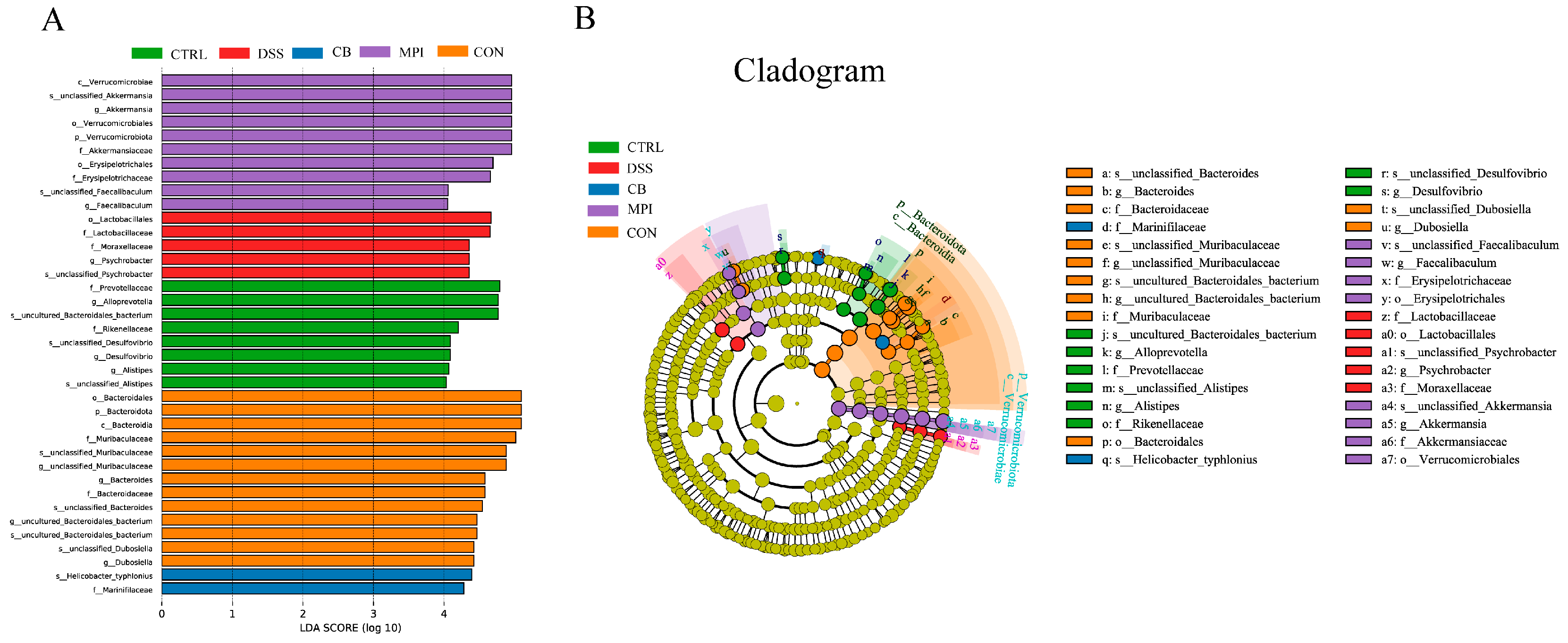 Nutrients 16 00153 g007