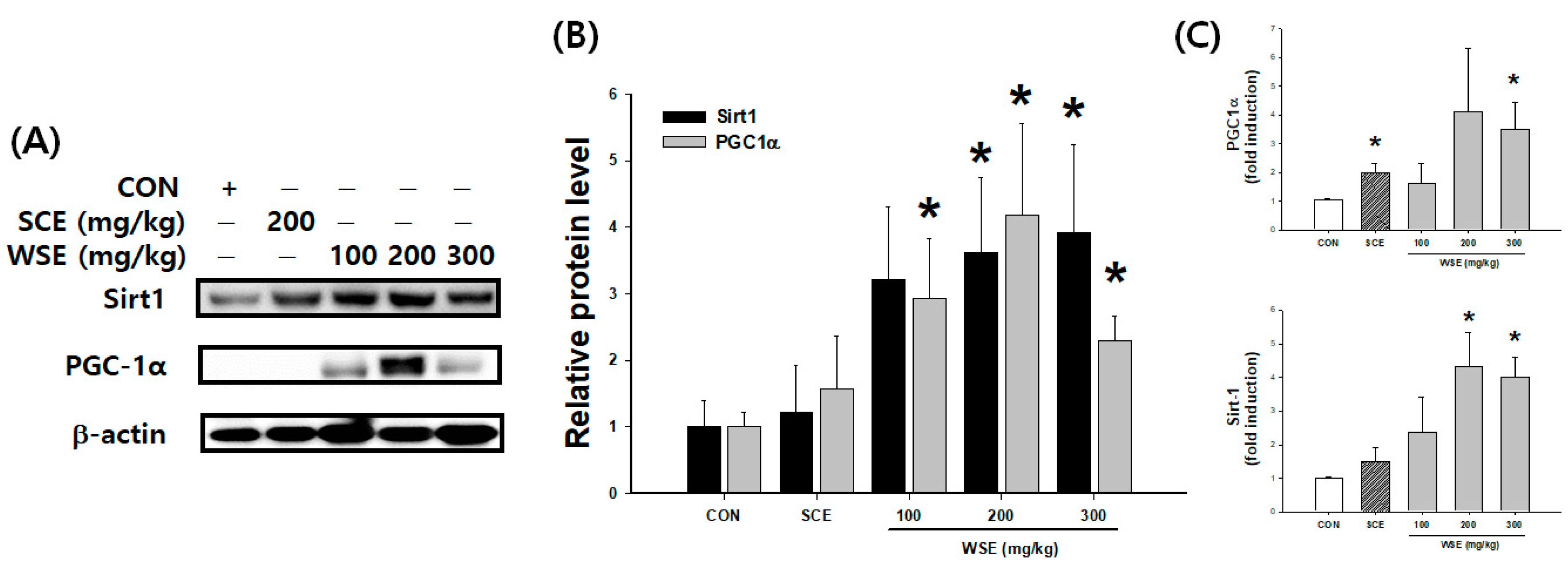 Nutrients 16 00157 g006