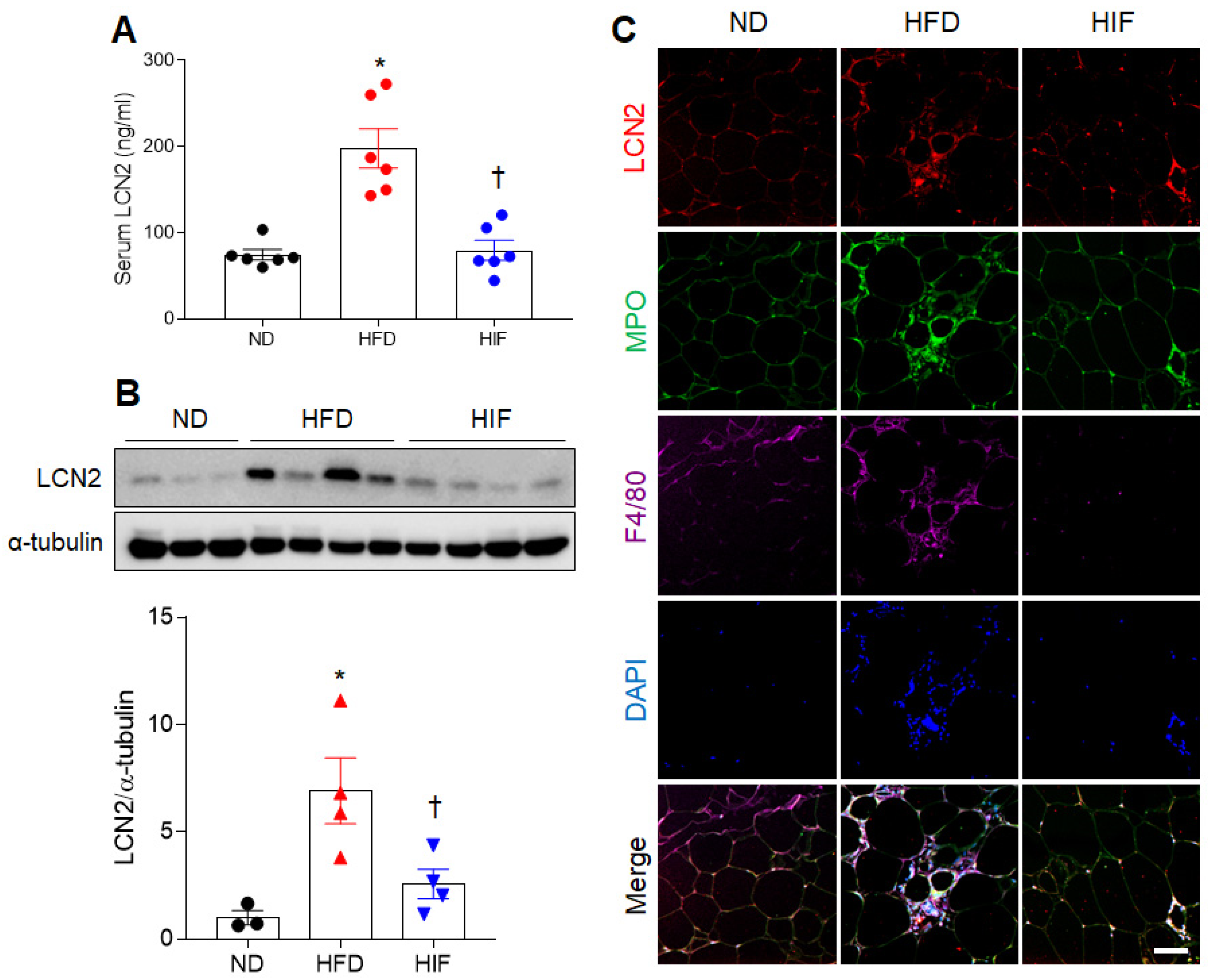 Nutrients 16 00159 g002