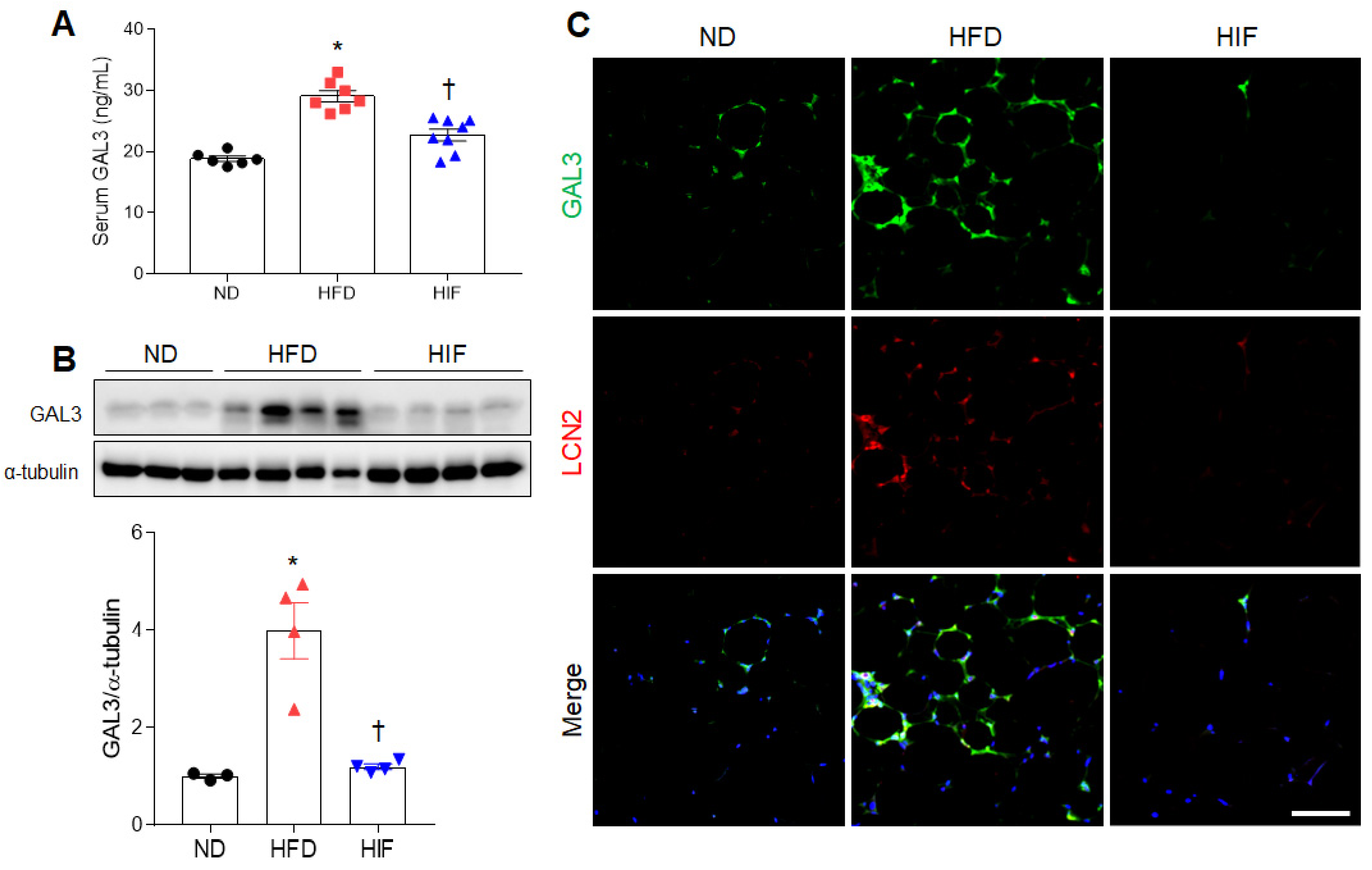 Nutrients 16 00159 g003