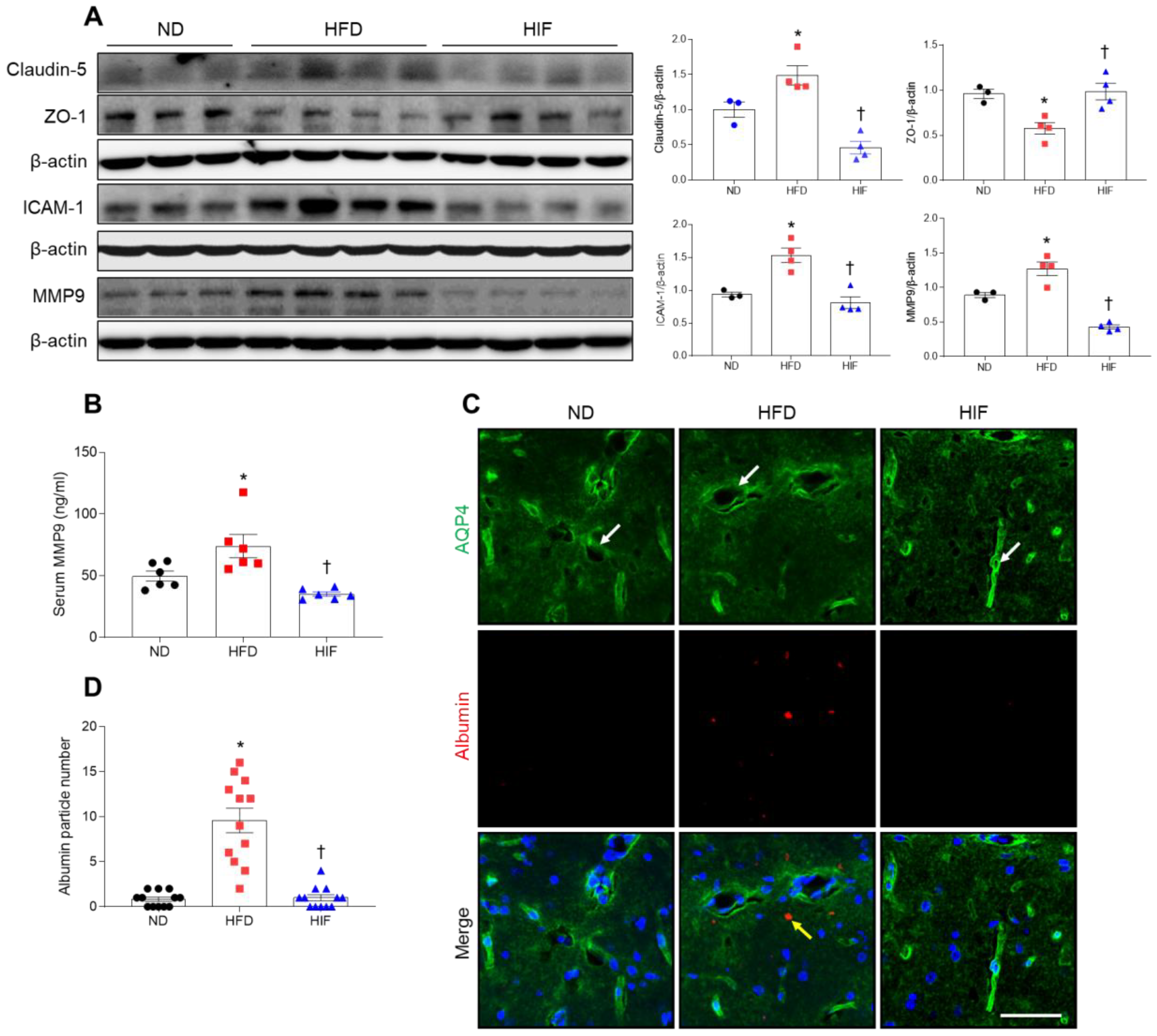 Nutrients 16 00159 g005