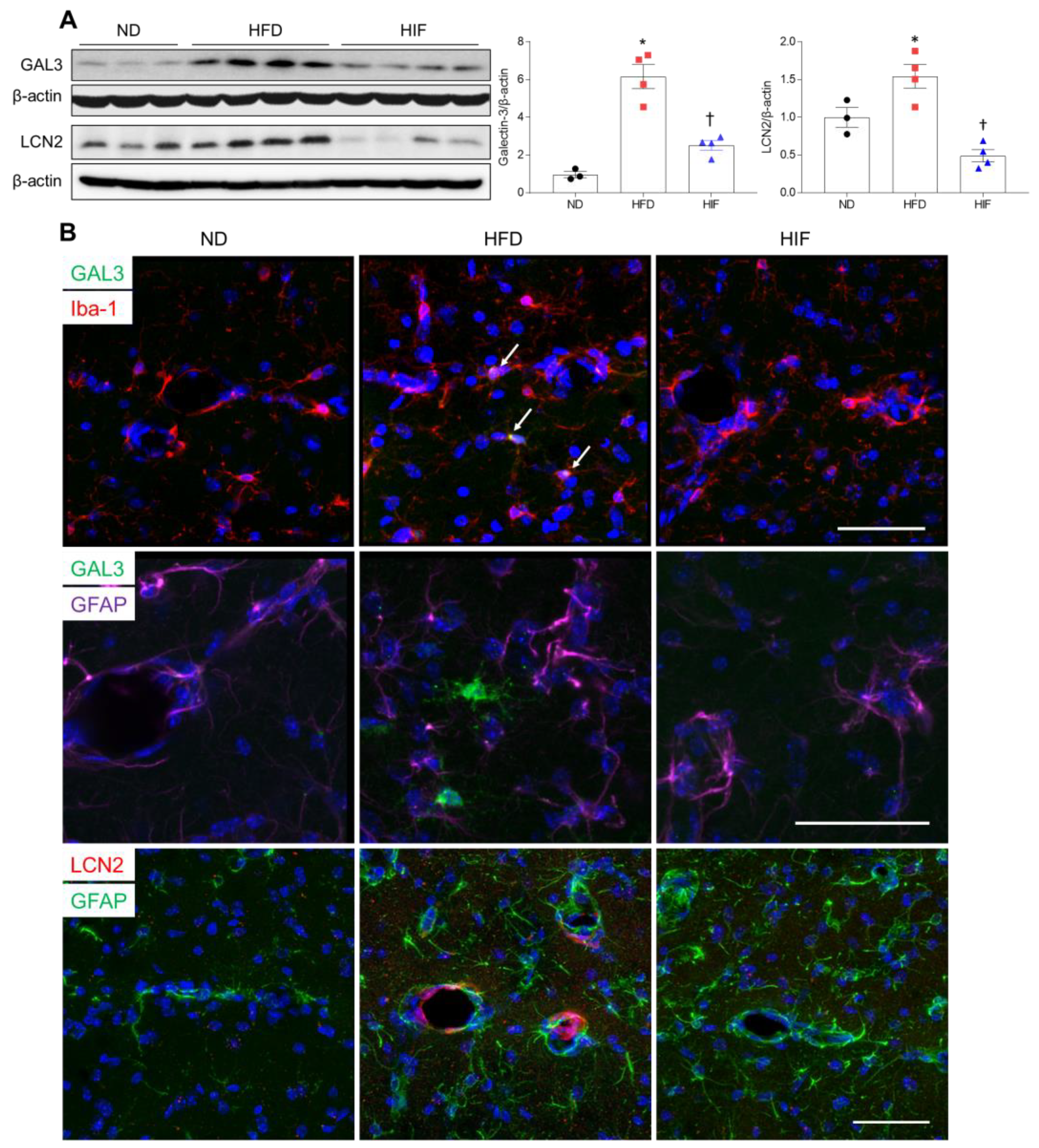 Nutrients 16 00159 g006