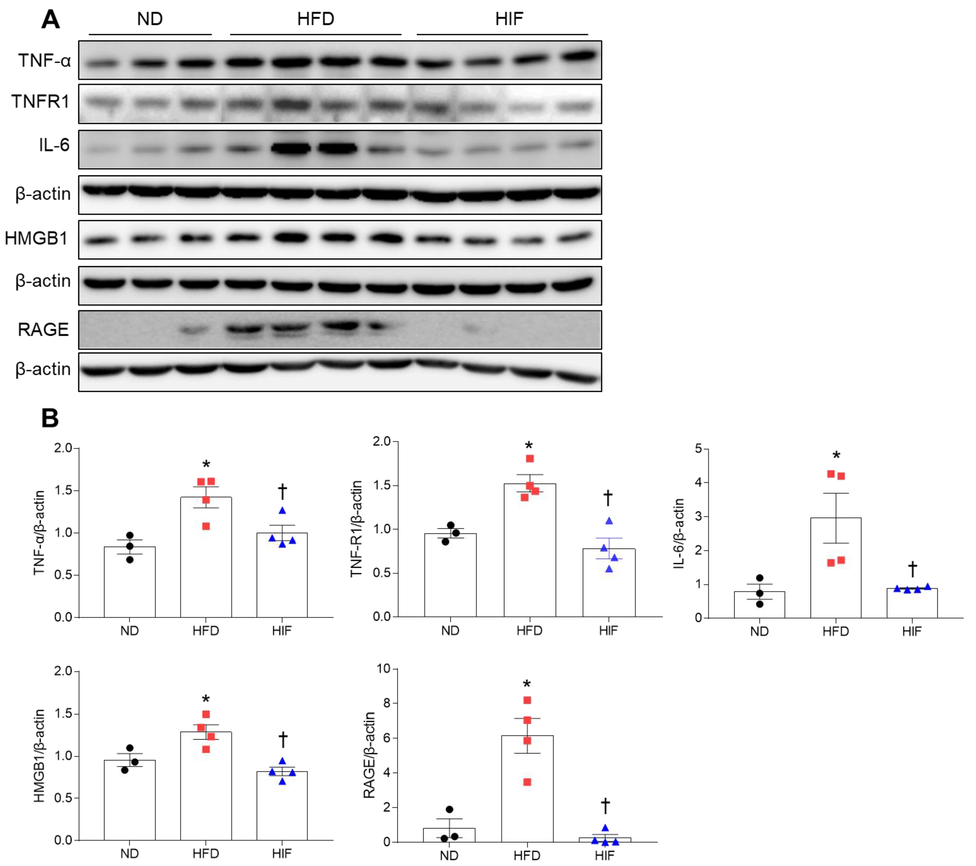 Nutrients 16 00159 g007