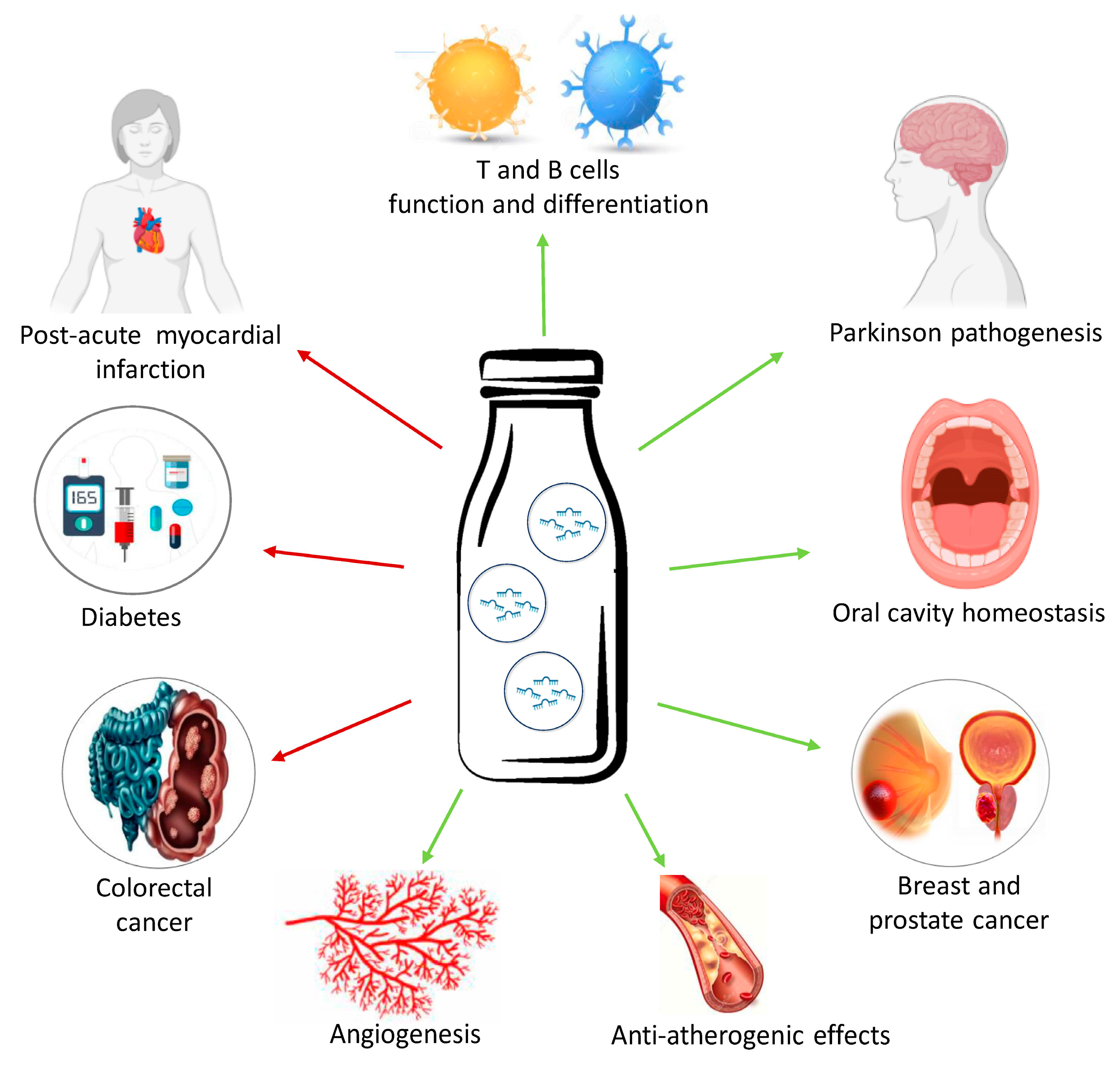Nutrients 16 00160 g002