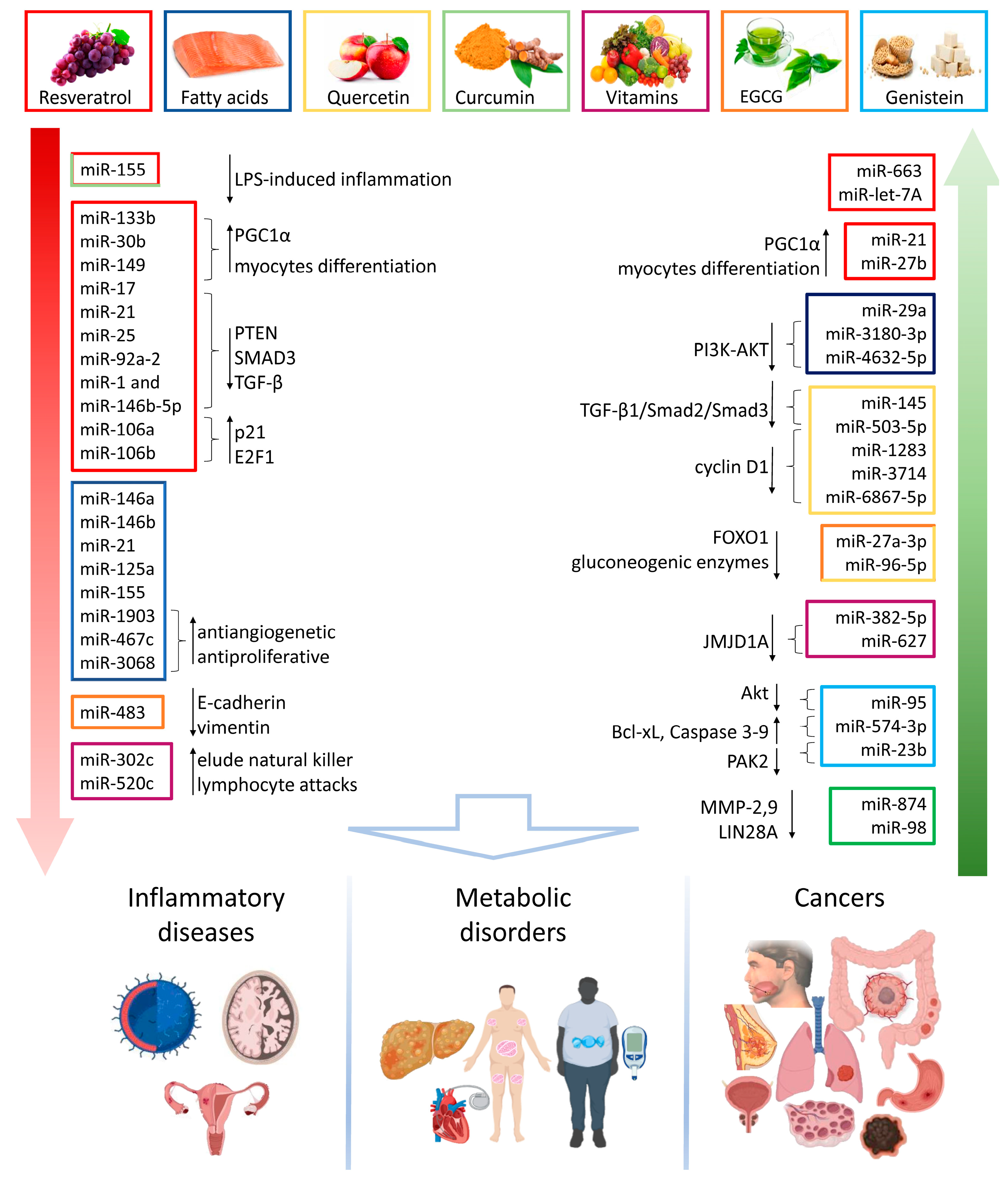 Nutrients 16 00160 g003