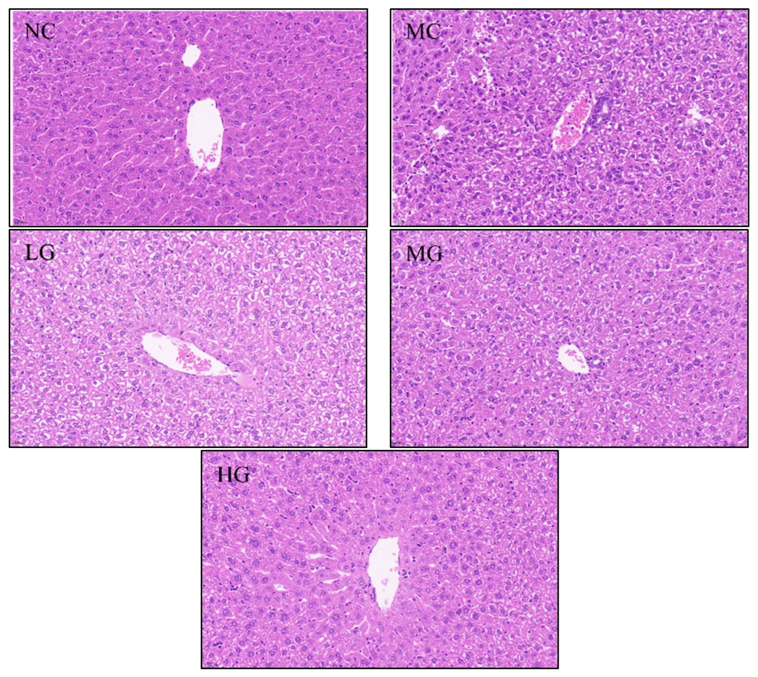 Nutrients 16 00166 g001