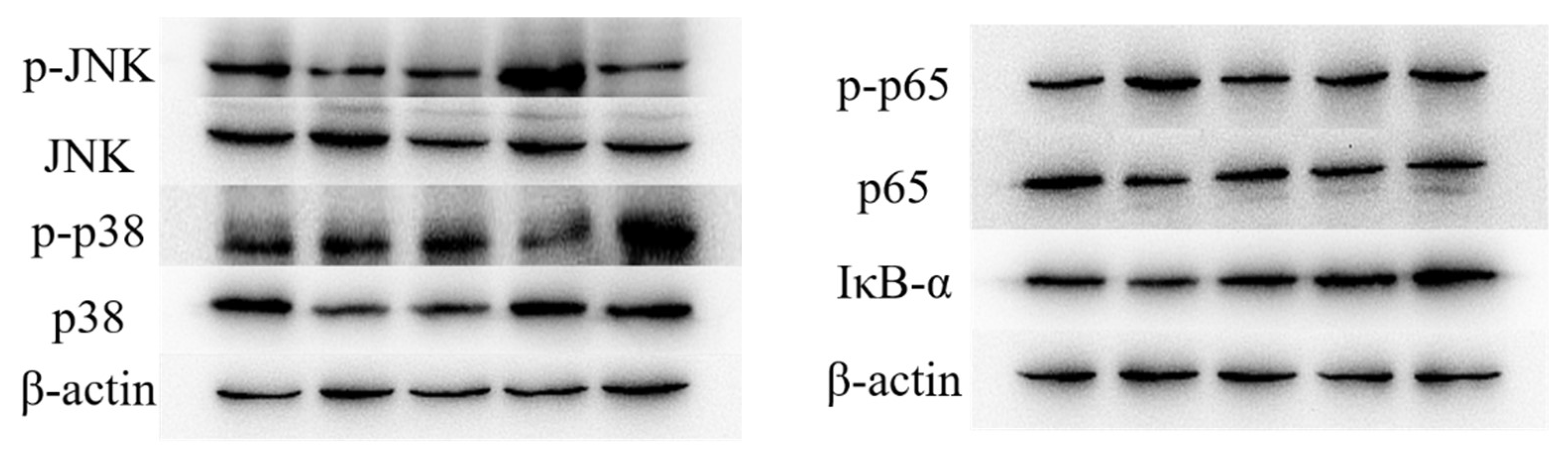 Nutrients 16 00166 g003a