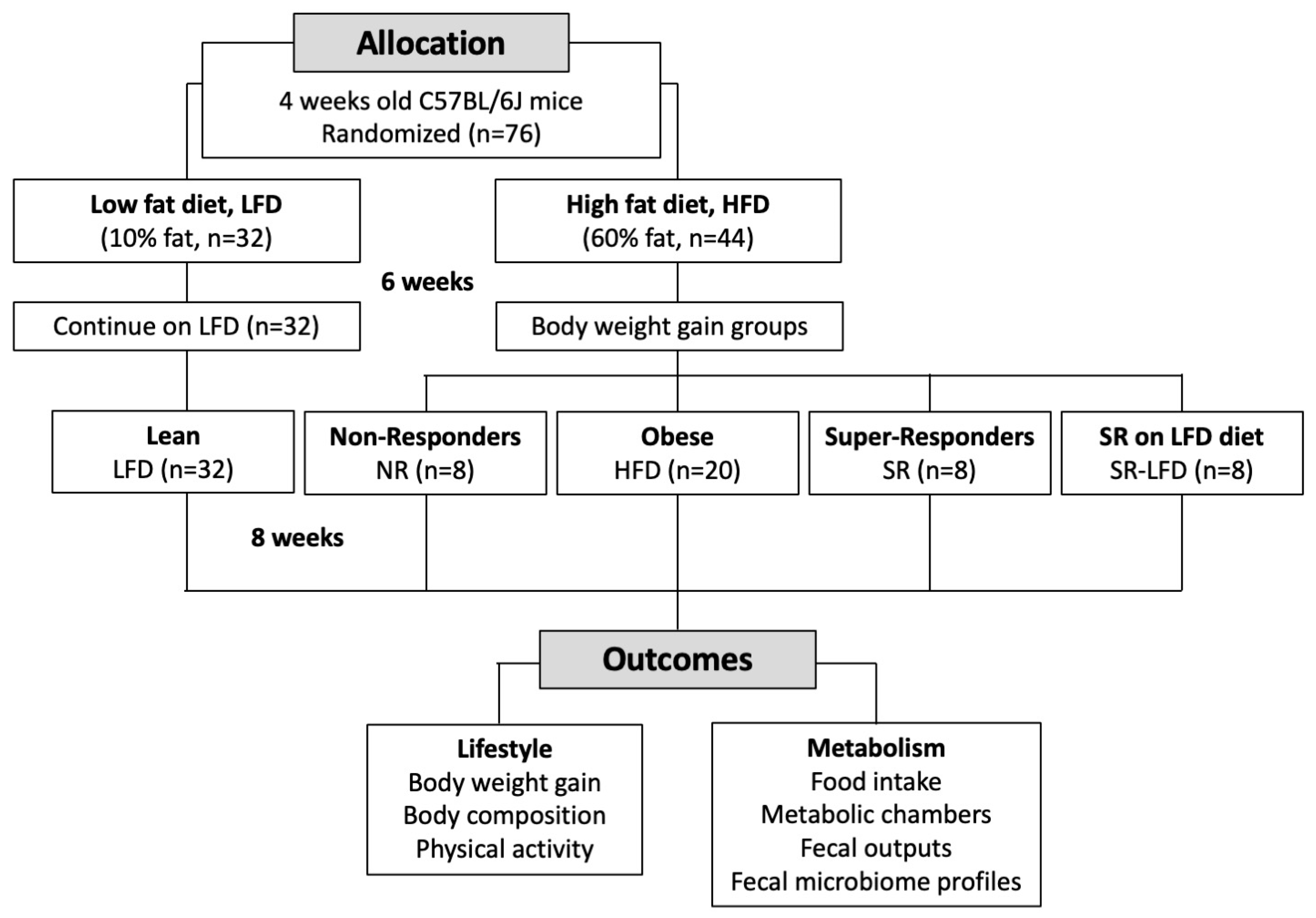 Nutrients 16 00171 g001 Nutrients 16 00171 g001