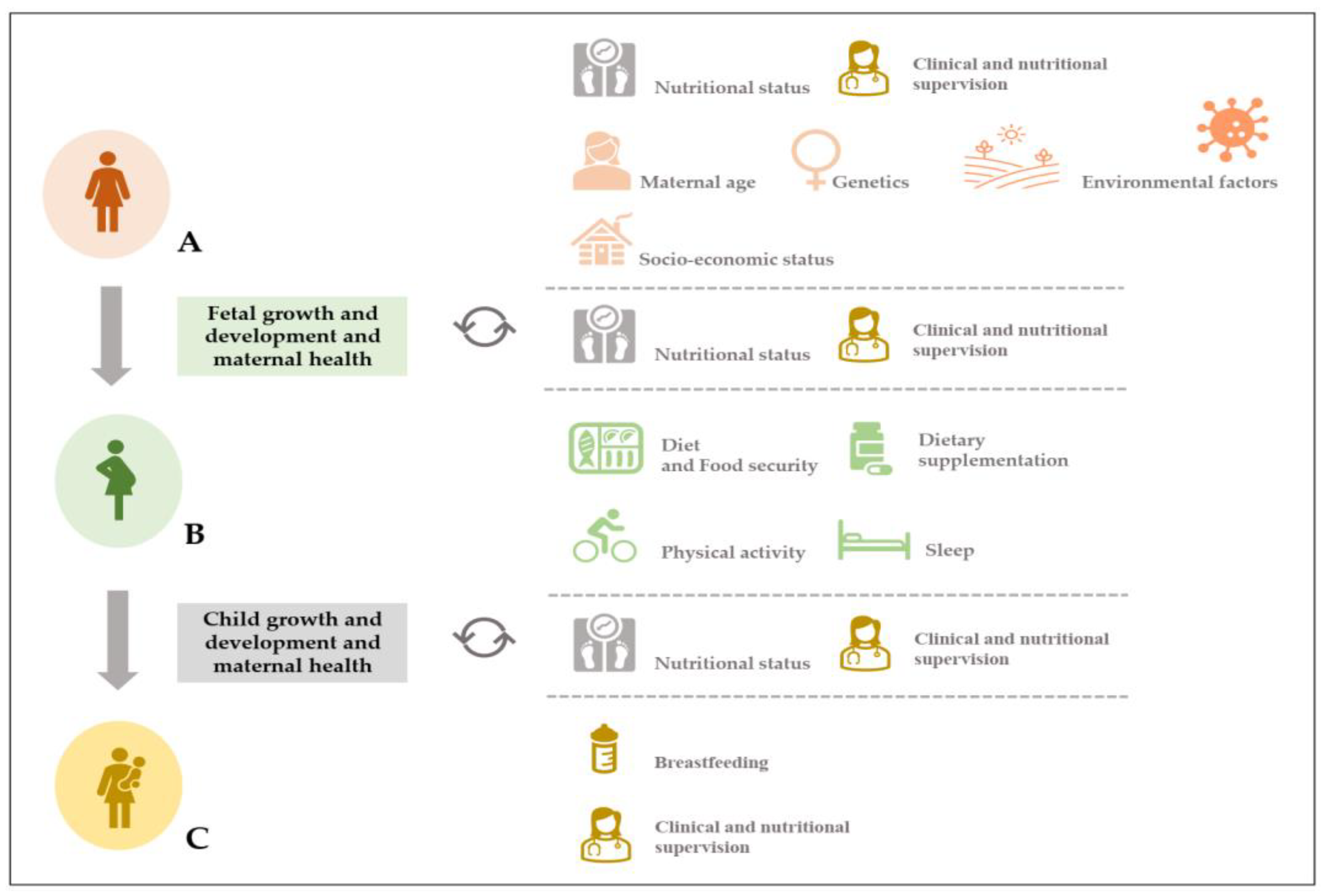Nutrients 16 00180 g001