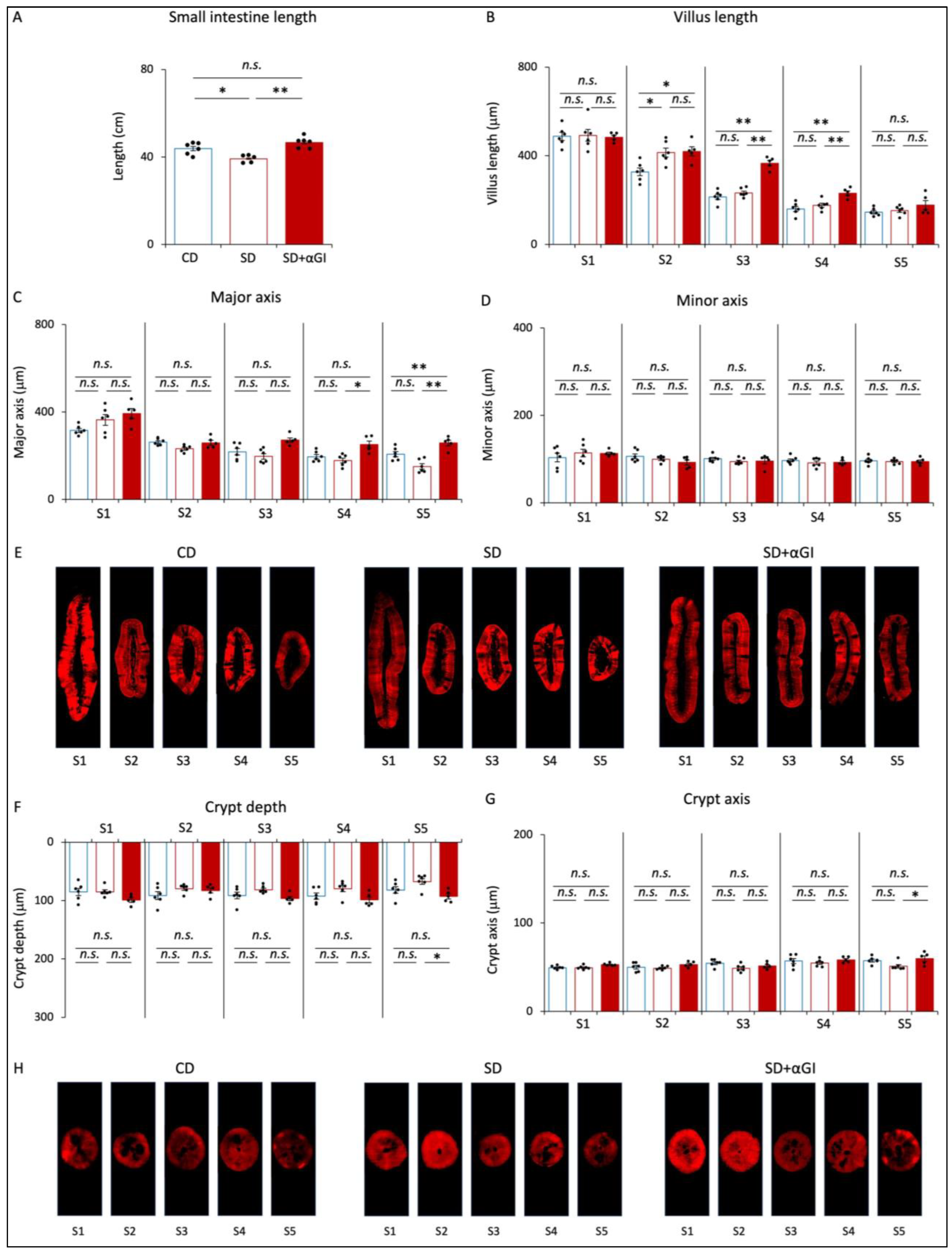 Nutrients 16 00196 g002 Nutrients 16 00196 g002