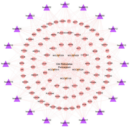 Network Pharmacology and Molecular Modeling Techniques in Unraveling ...