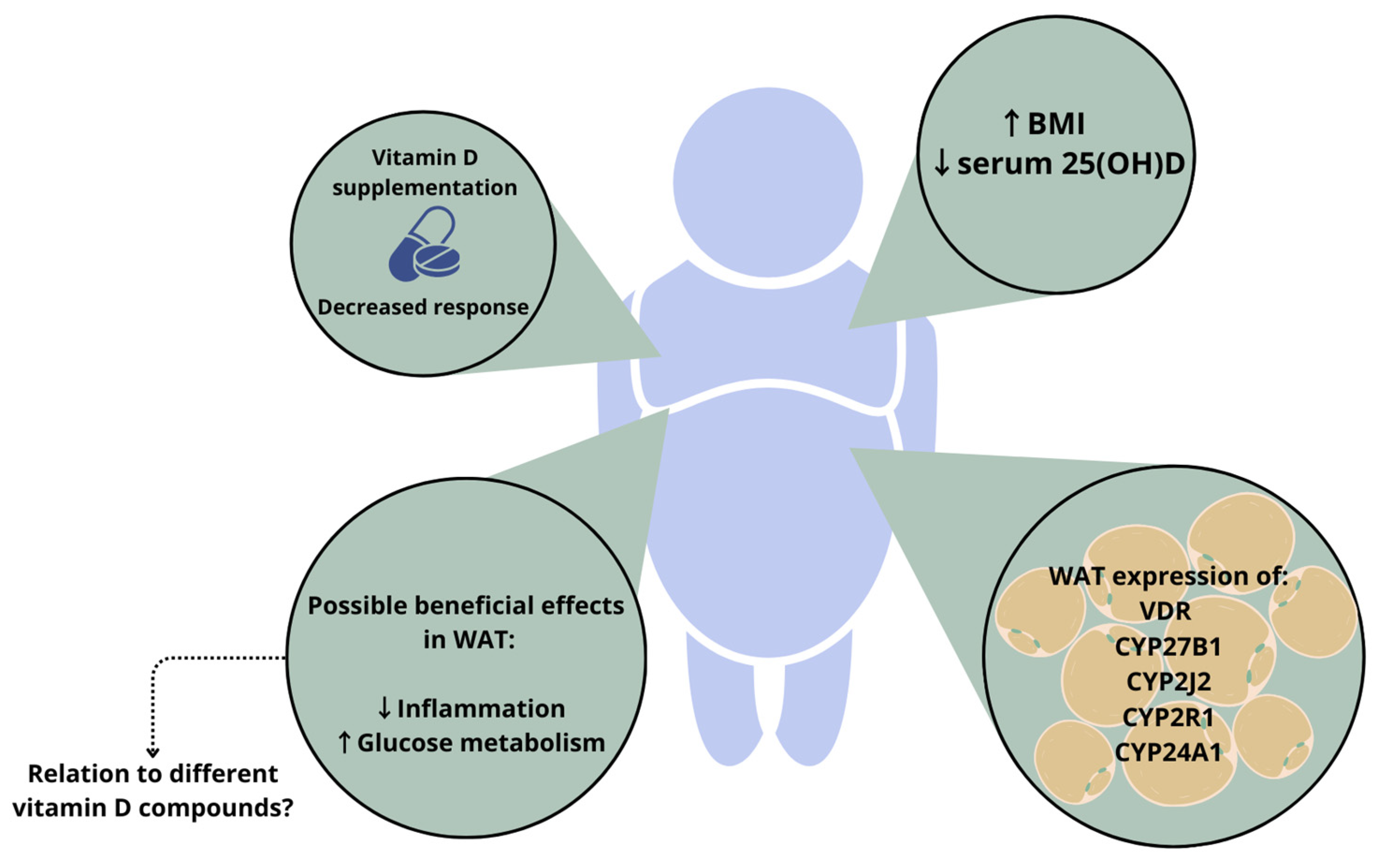 Nutrients 16 00231 g002 Nutrients 16 00231 g002
