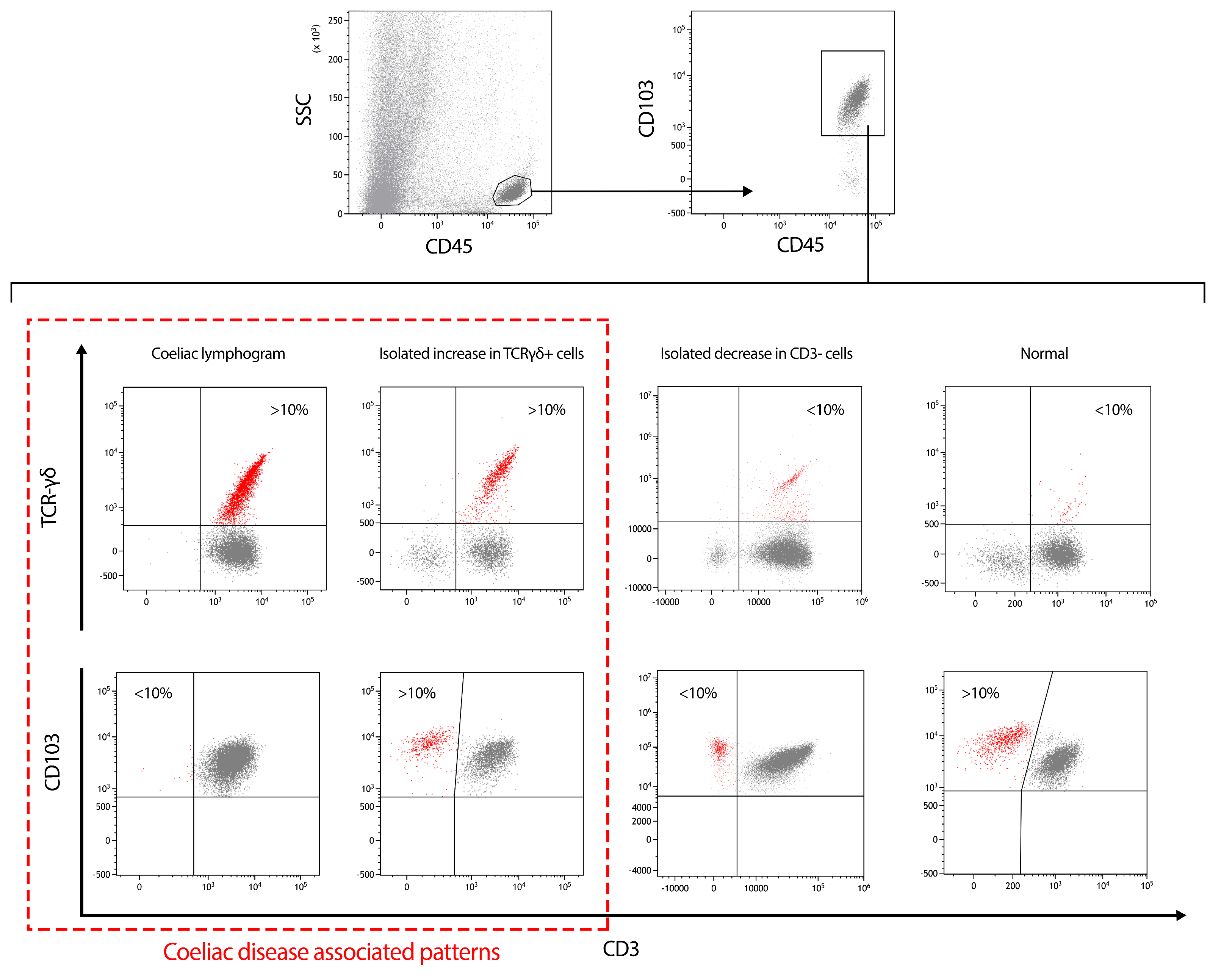 Nutrients 16 00232 g001