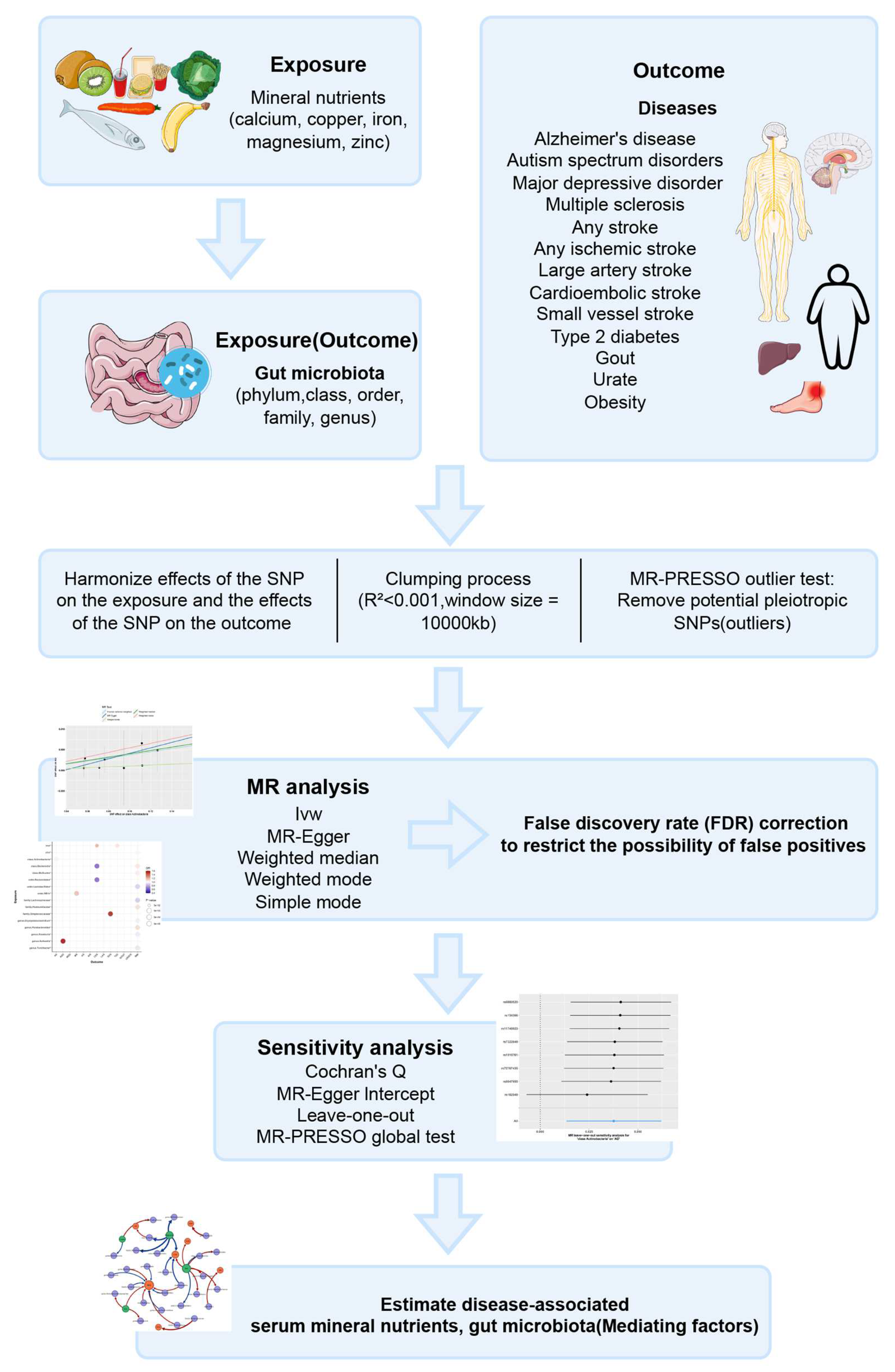 Nutrients 16 00244 g001