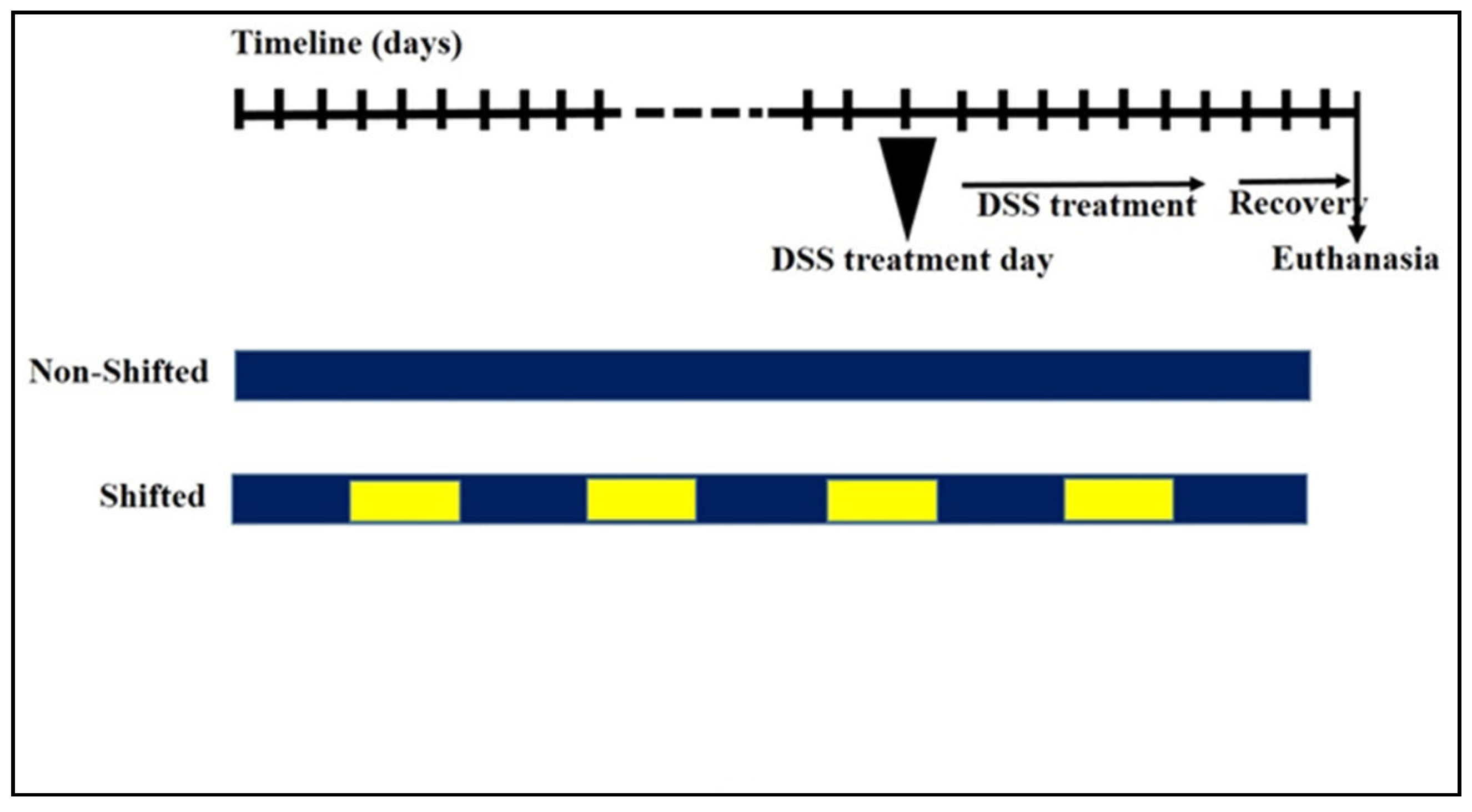 Nutrients 16 00247 g001