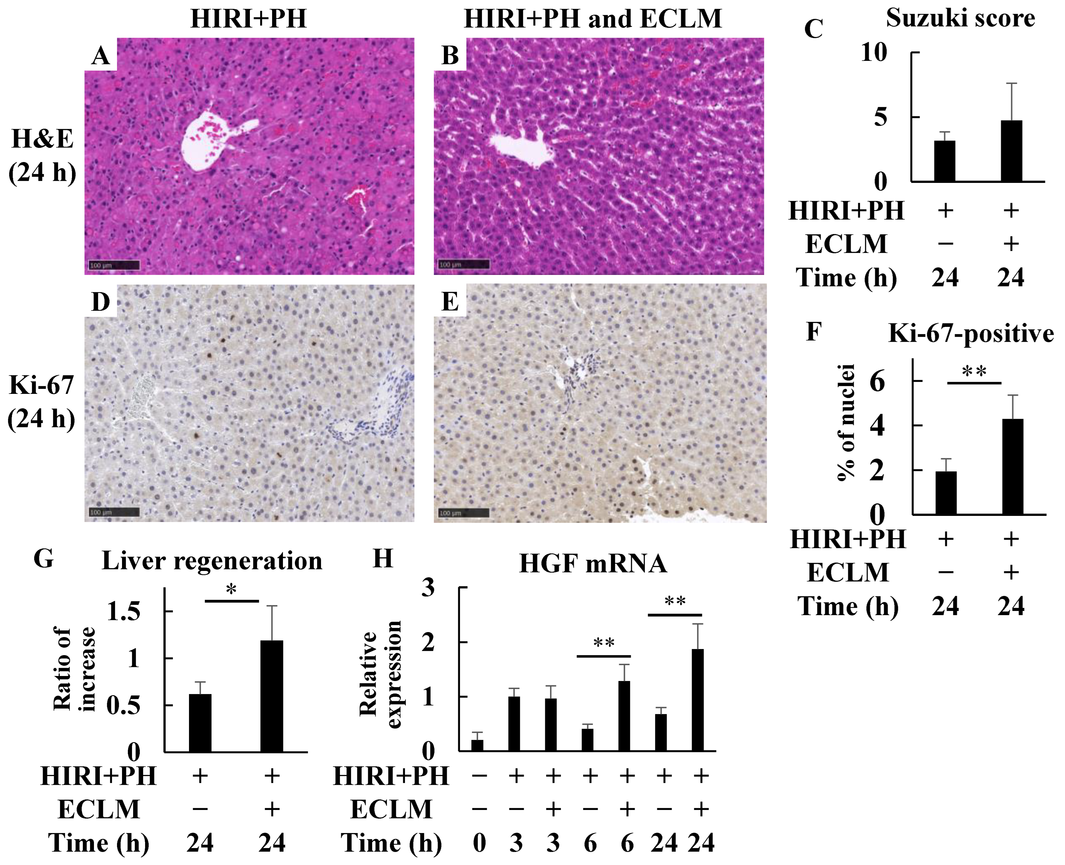 Nutrients 16 00256 g003