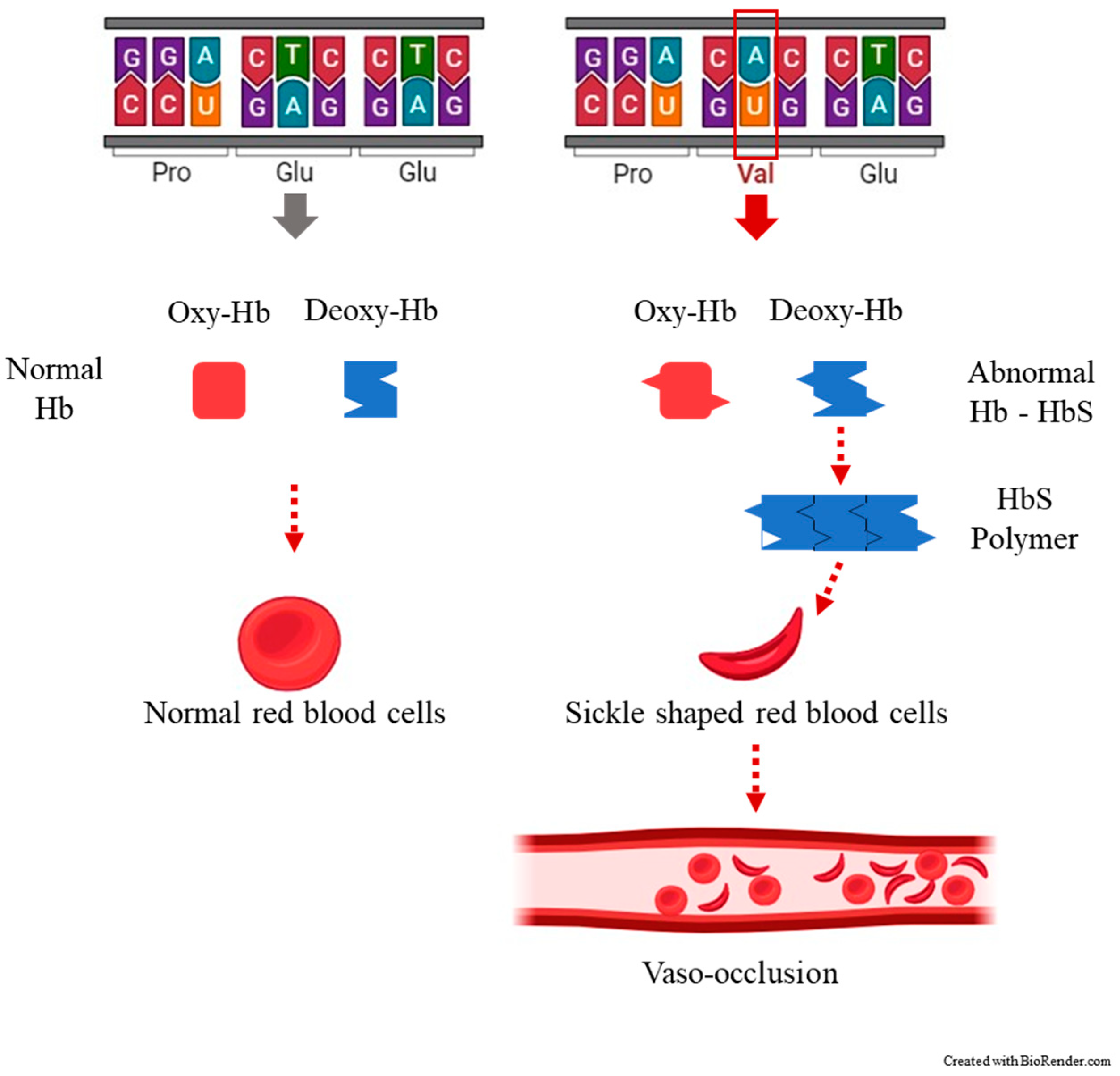 Nutrients 16 00258 g001
