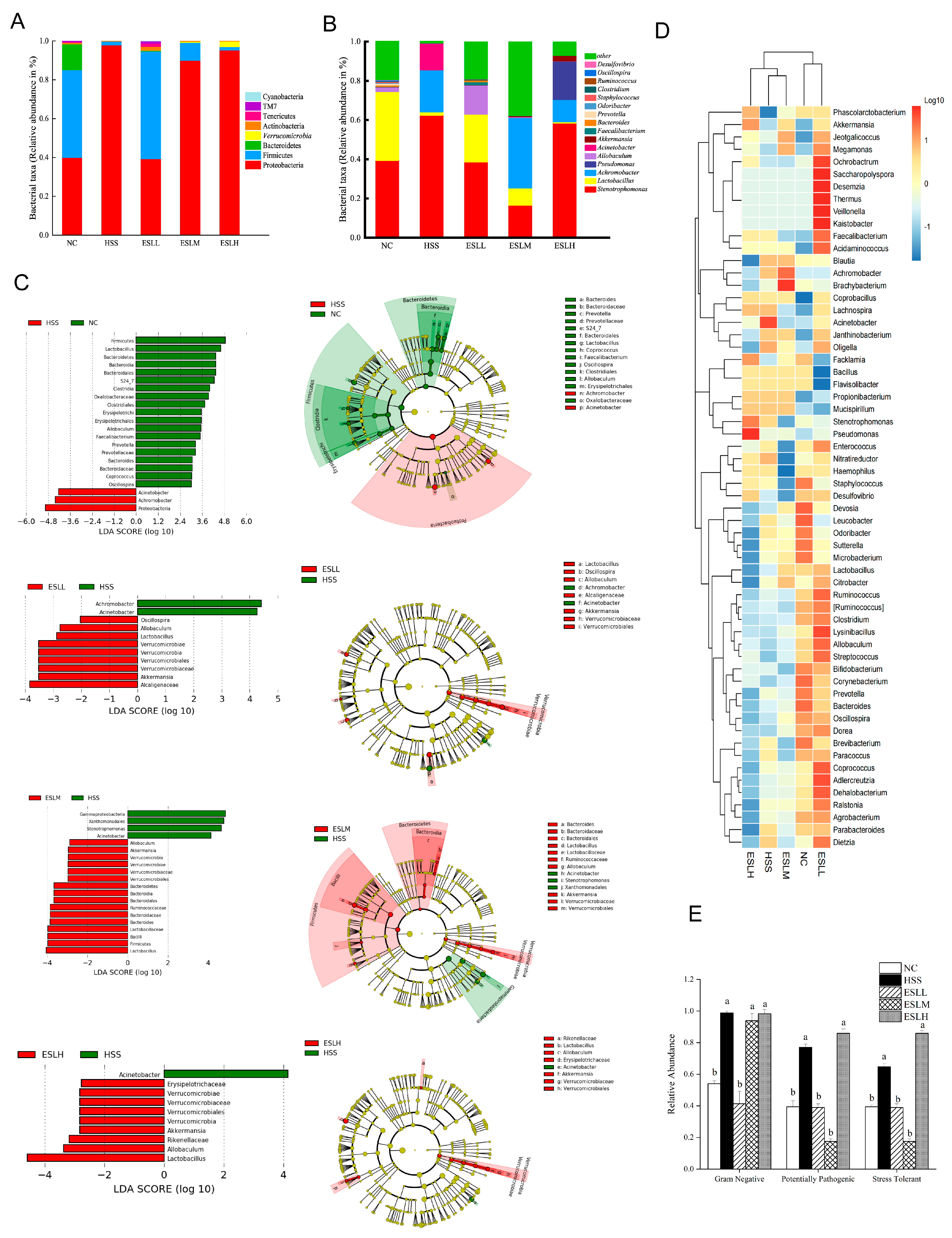Nutrients 16 00262 g005