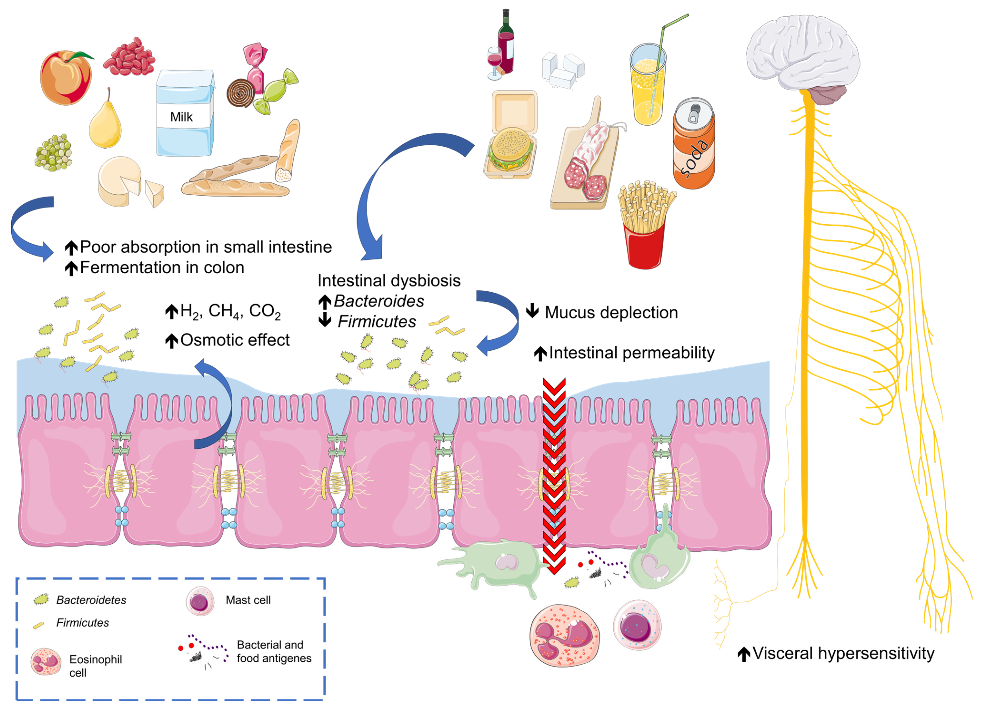 Nutrients 16 00265 g001