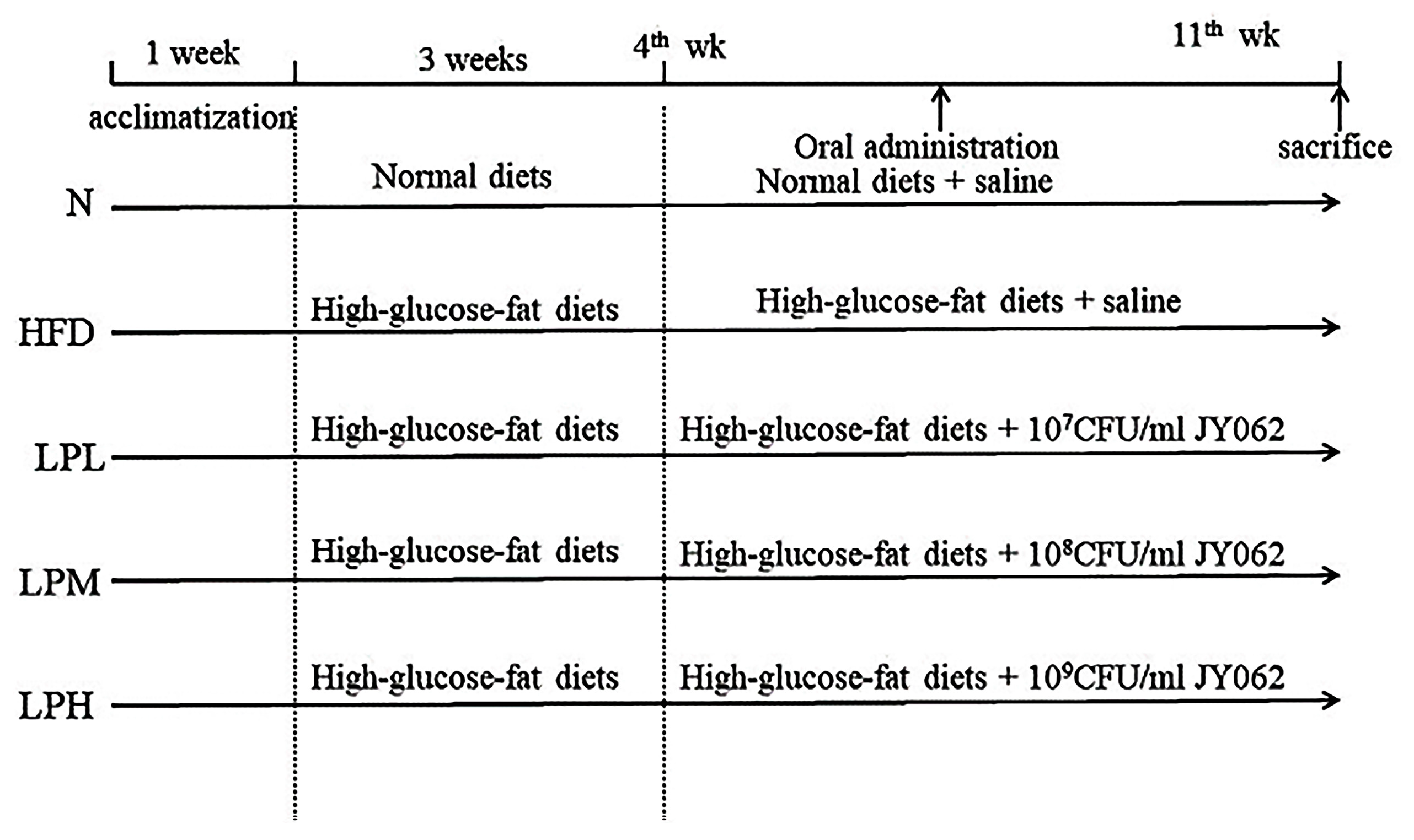 Nutrients 16 00267 g001