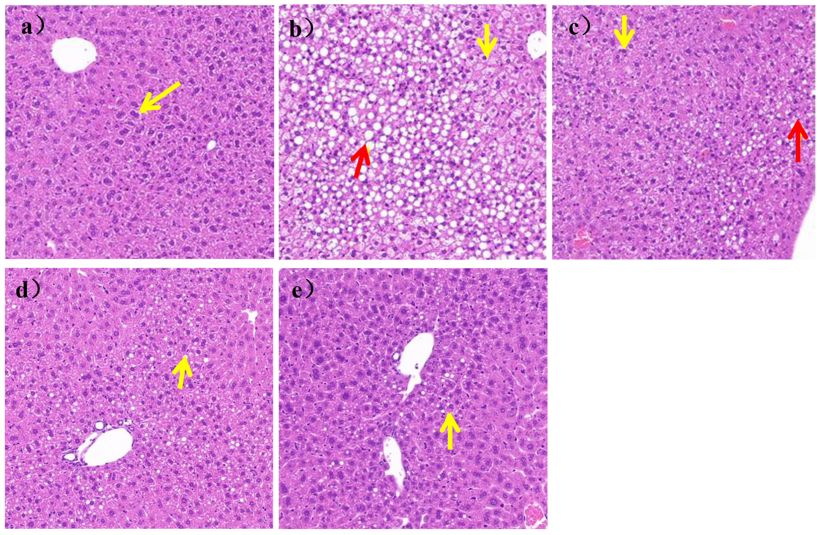 Nutrients 16 00267 g005