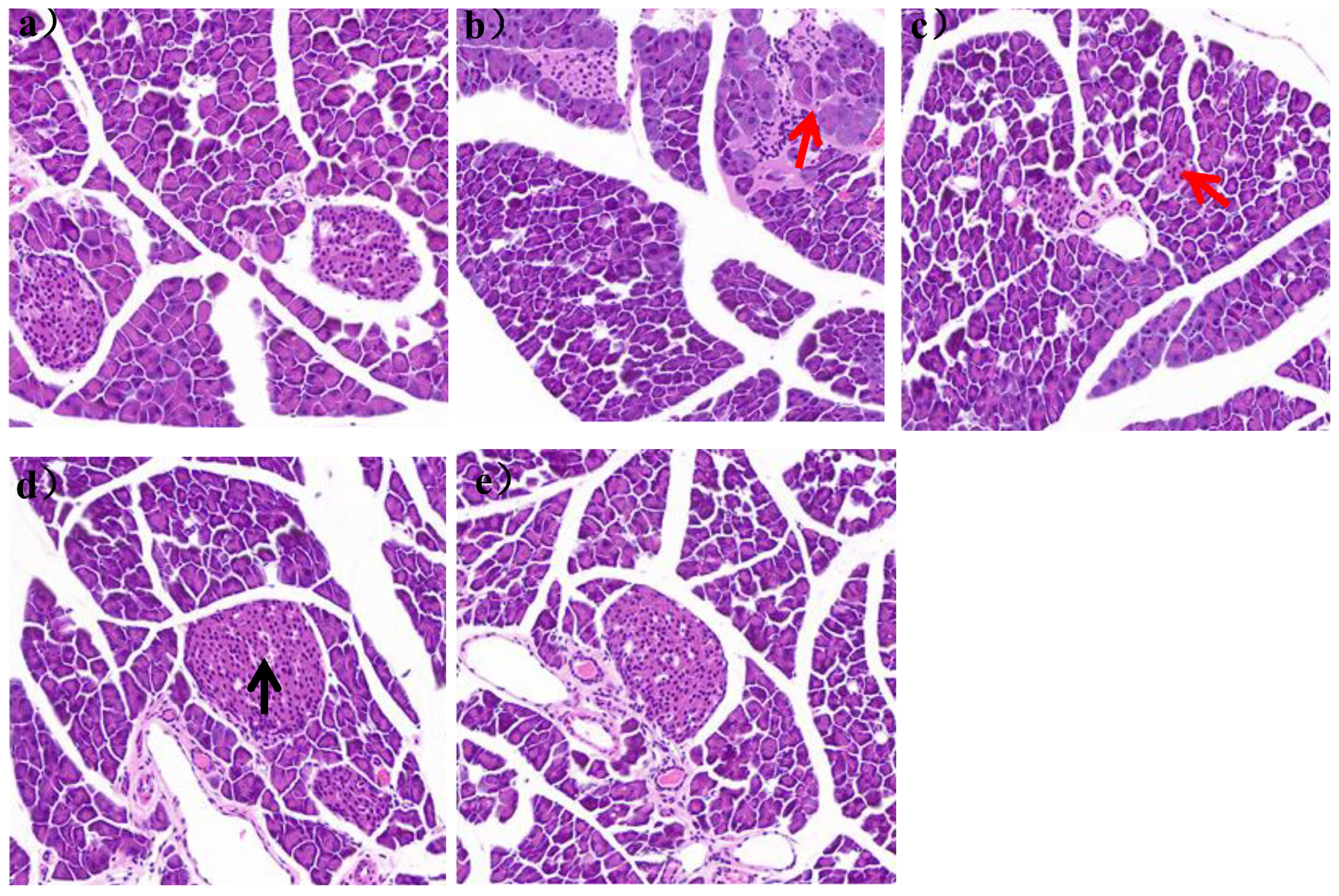 Nutrients 16 00267 g006