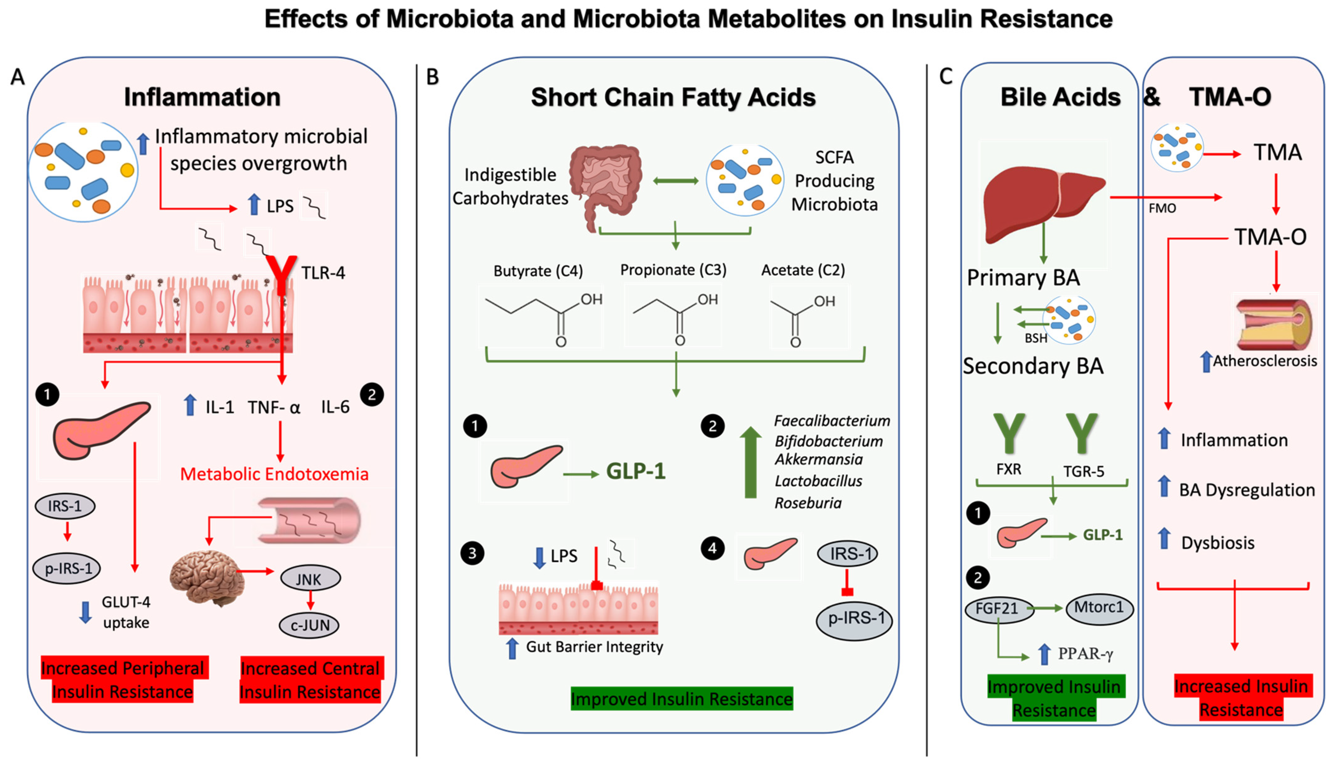Nutrients 16 00269 g001 Nutrients 16 00269 g001