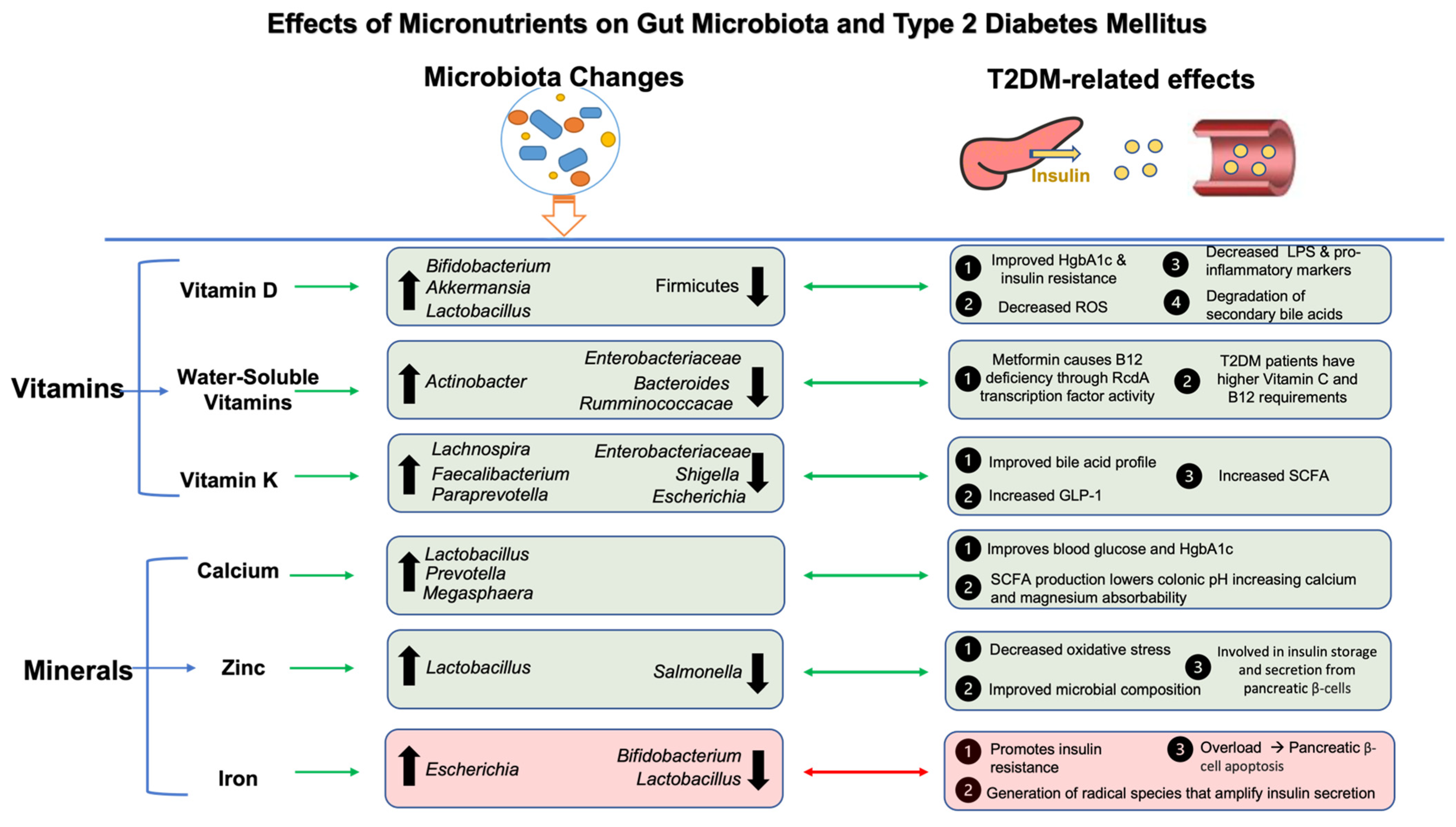 Nutrients 16 00269 g003 Nutrients 16 00269 g003