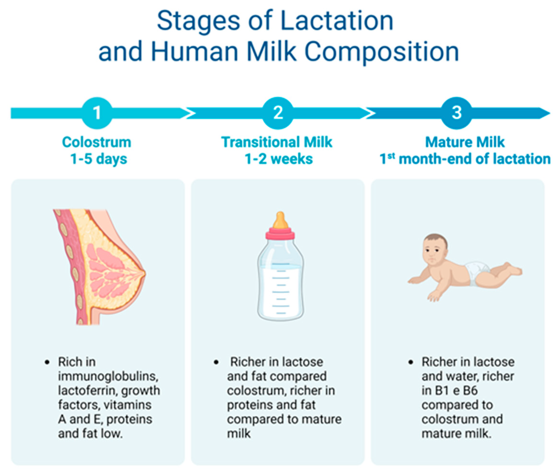 Nutrients 16 00272 g003