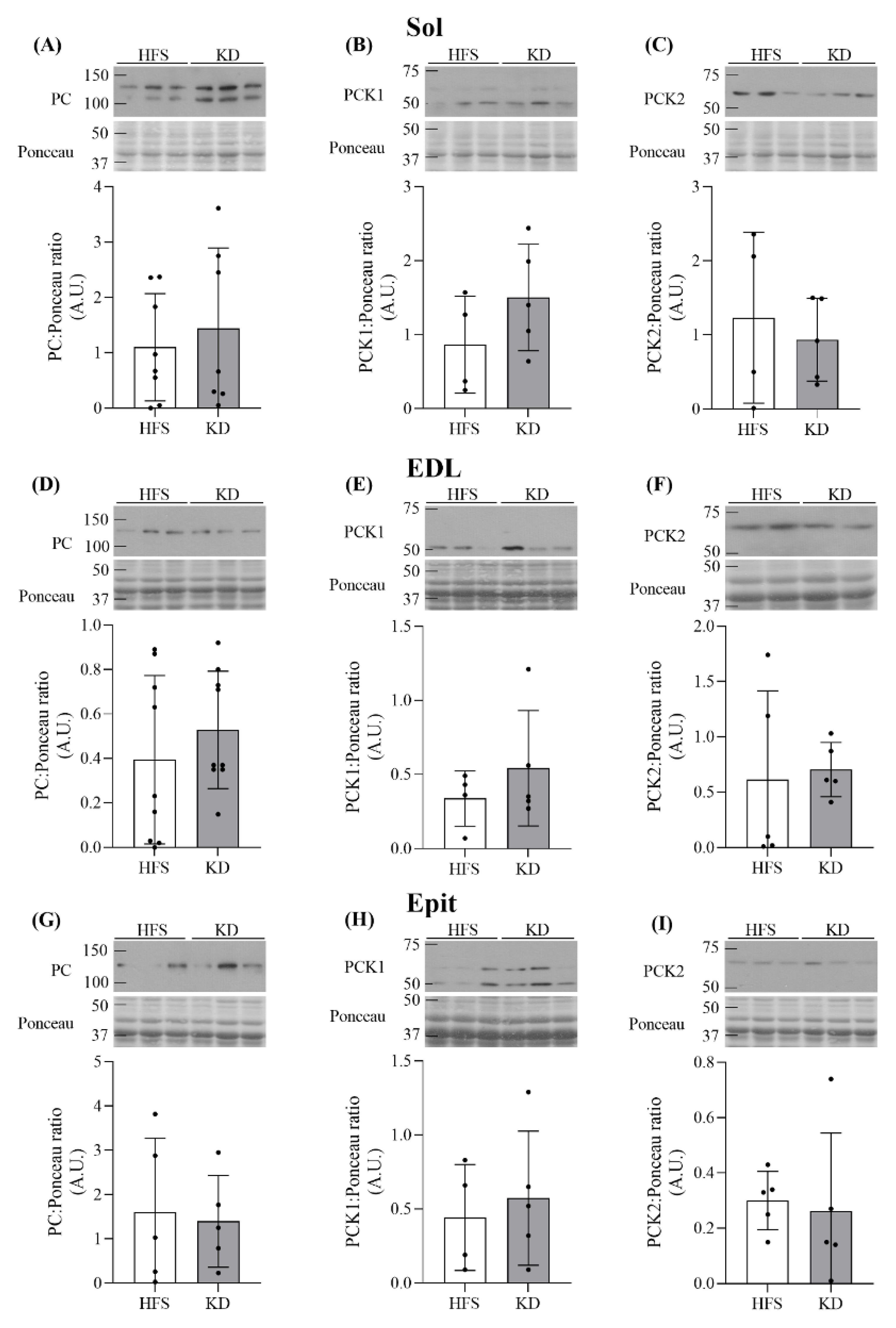 Nutrients 16 00286 g005
