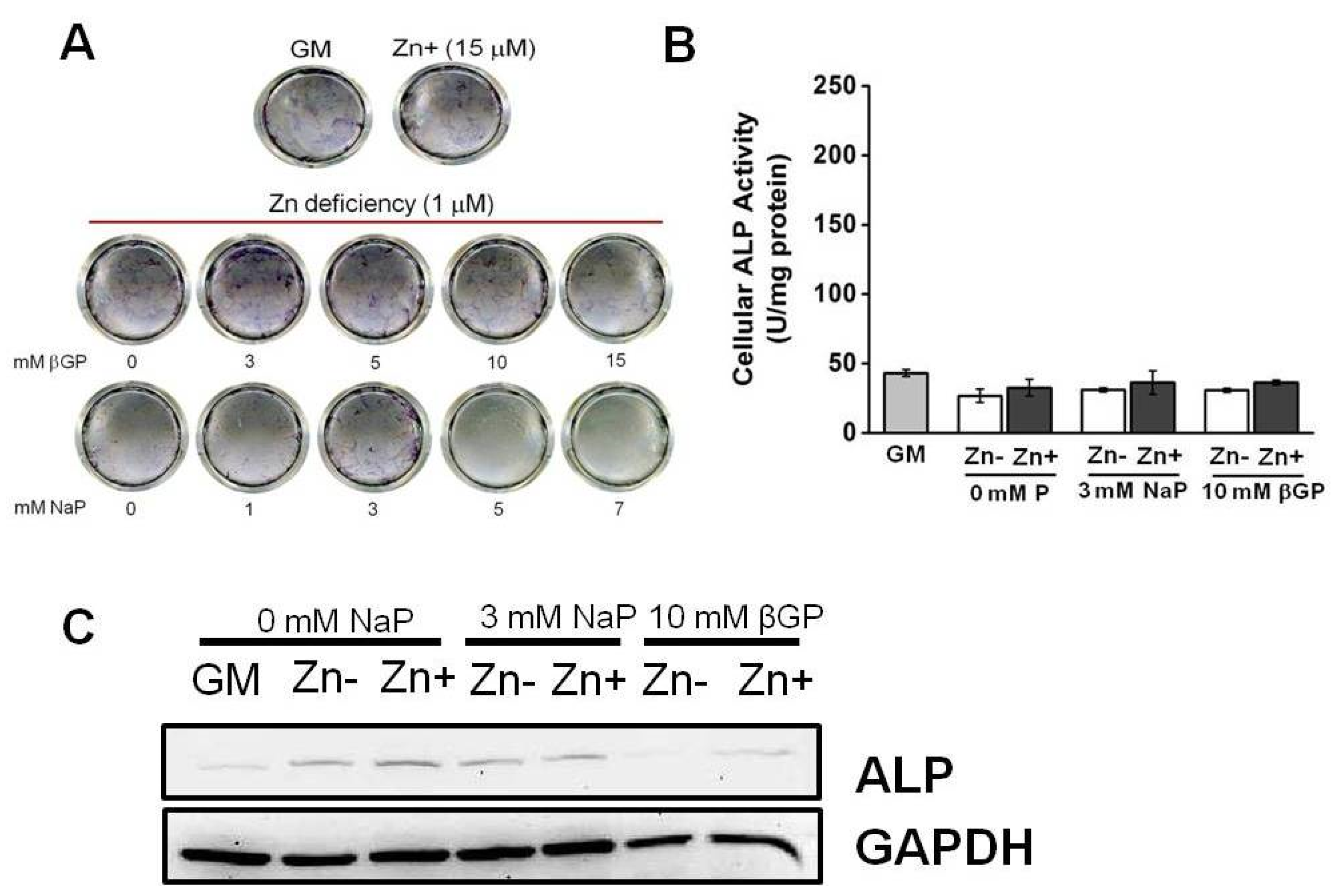 Nutrients 16 00291 g003