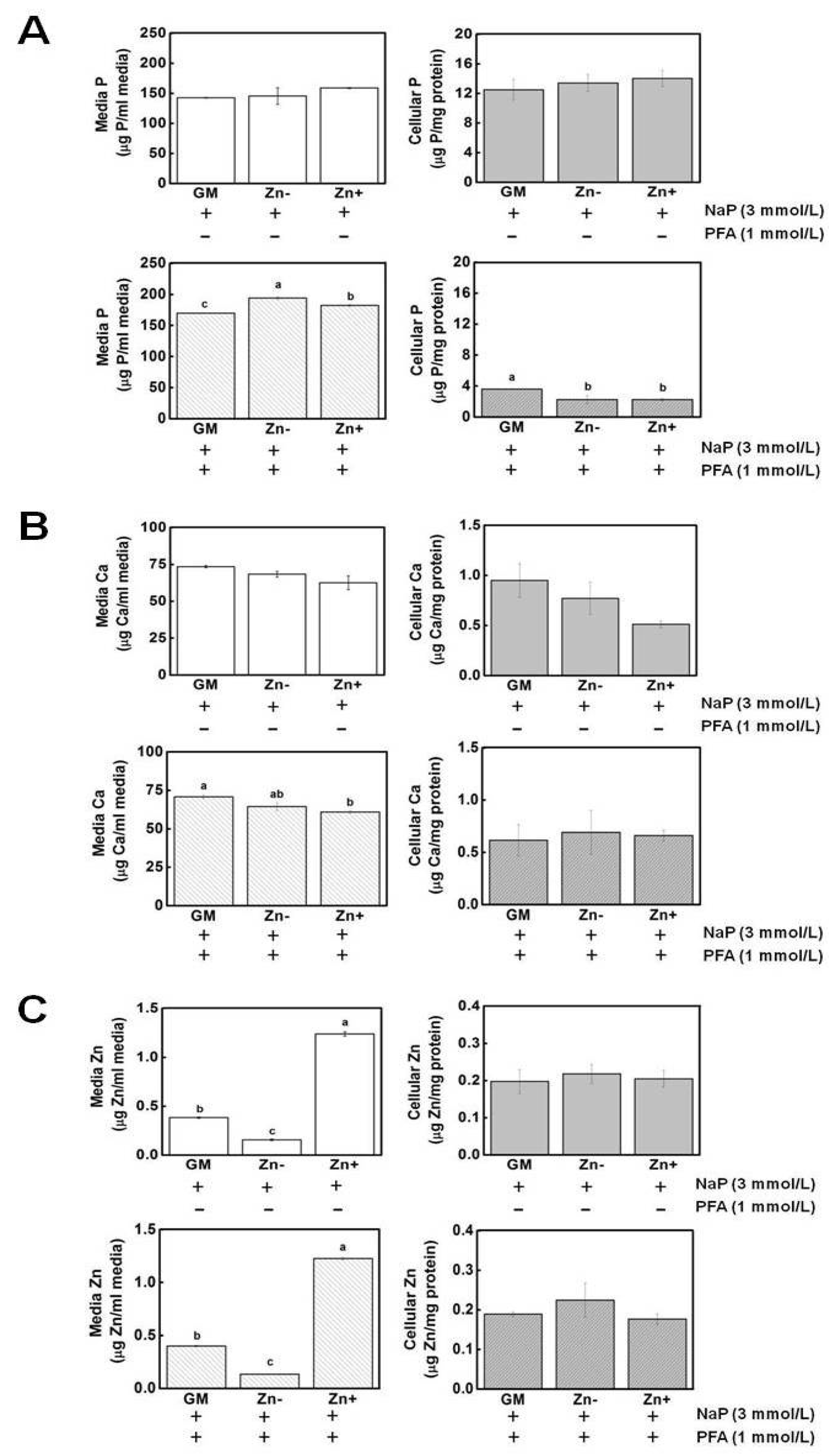 Nutrients 16 00291 g006