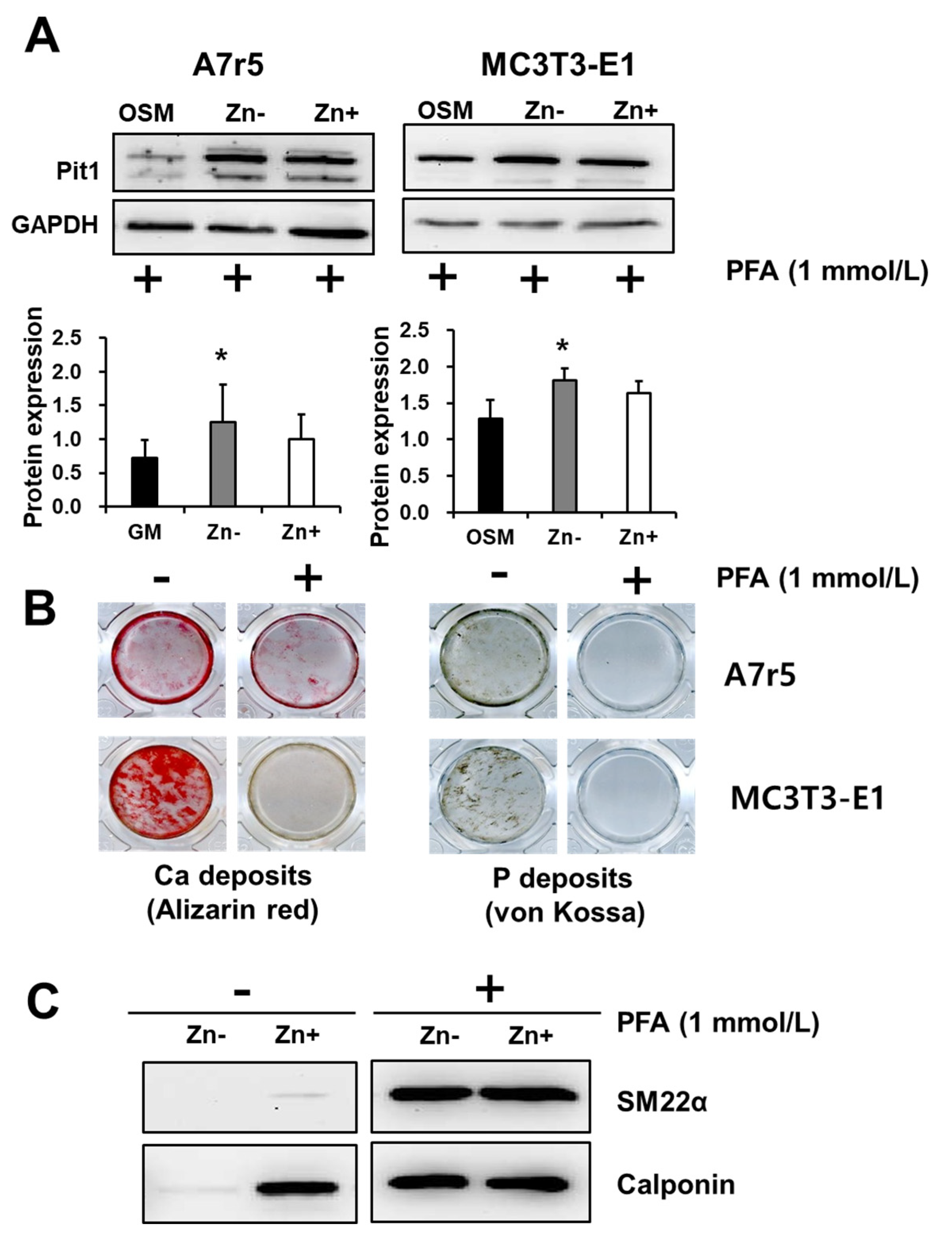 Nutrients 16 00291 g007
