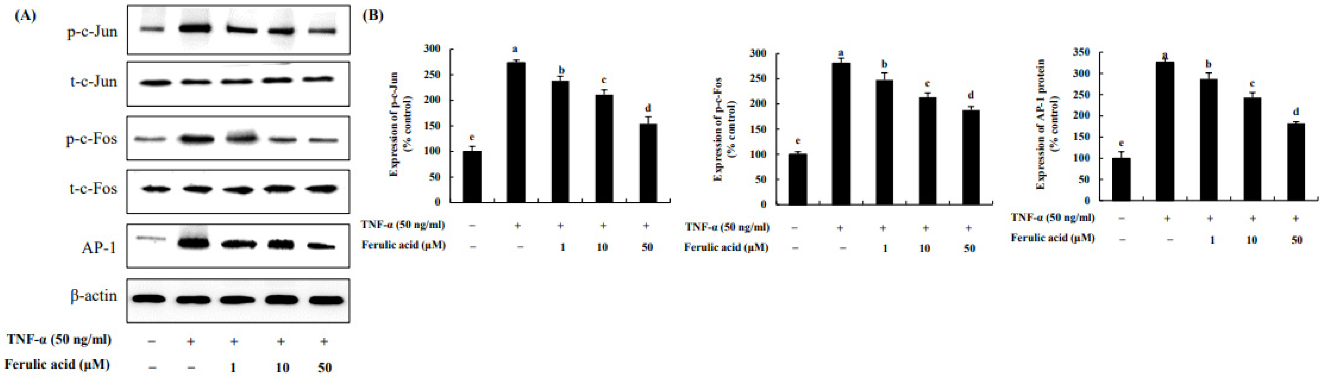 Nutrients 16 00294 g005