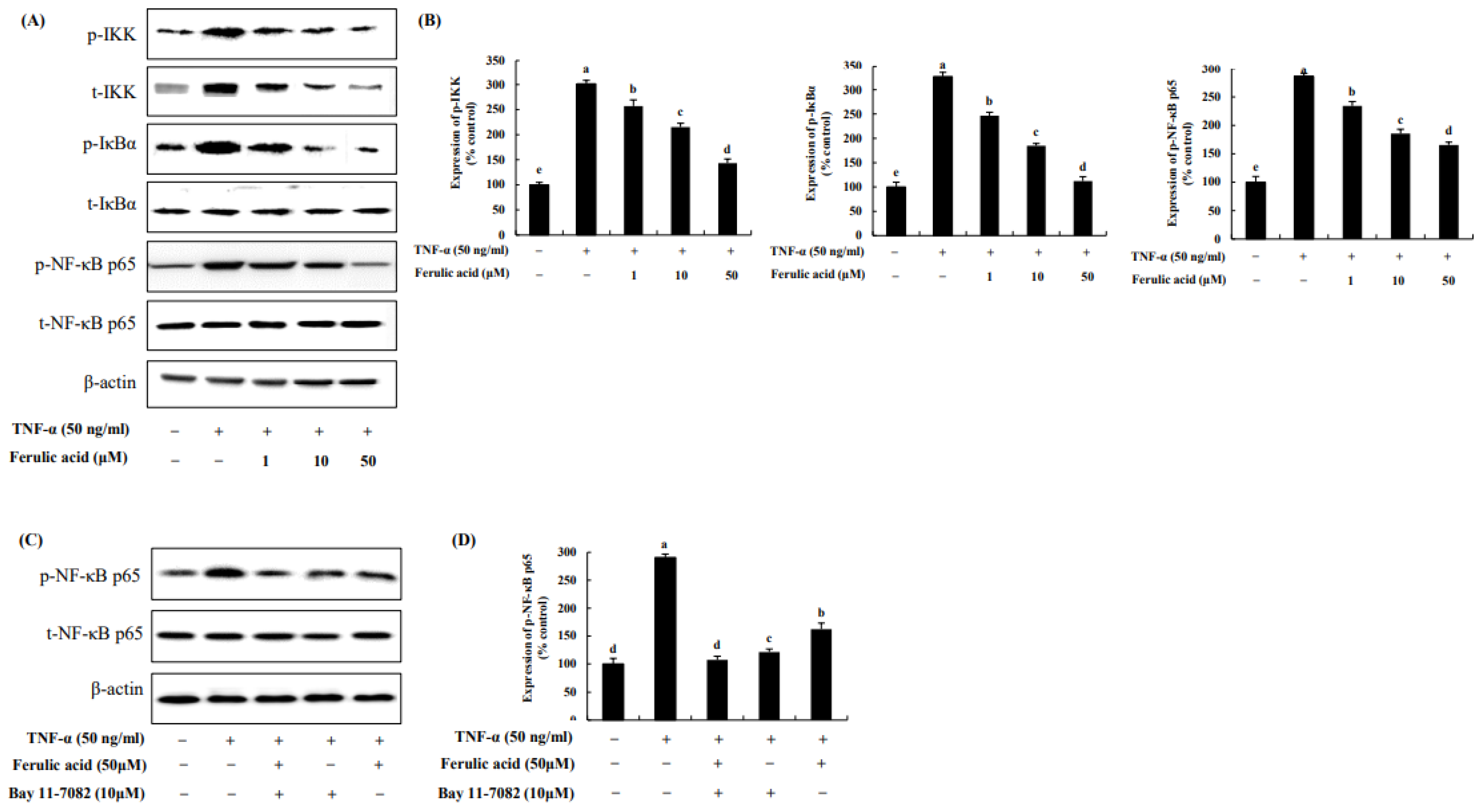 Nutrients 16 00294 g006