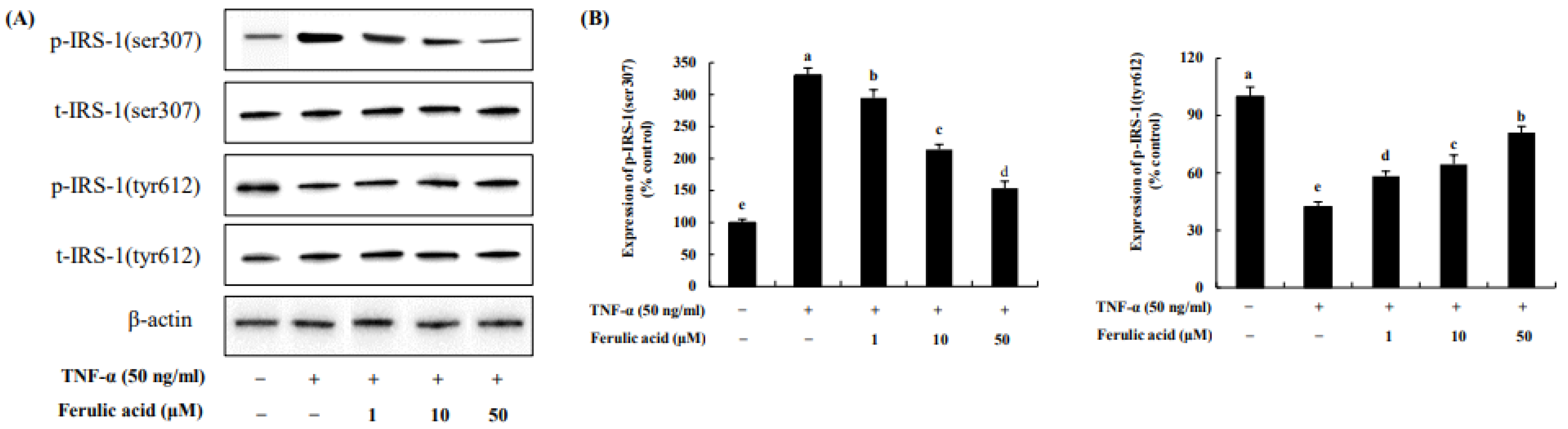Nutrients 16 00294 g007