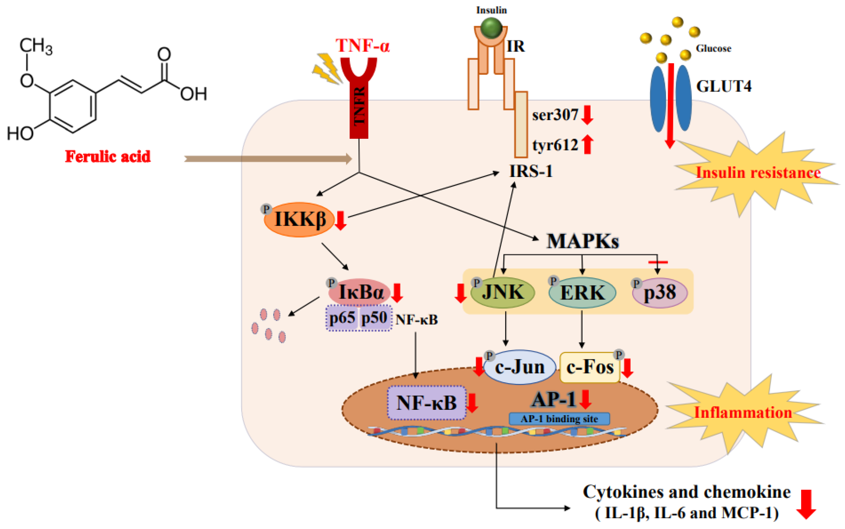 Nutrients 16 00294 g009