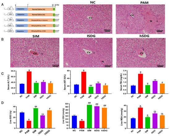 Flaxseed Lignan Alleviates the Paracetamol-Induced Flaxseed Lignan Alleviates the Paracetamol-Induced