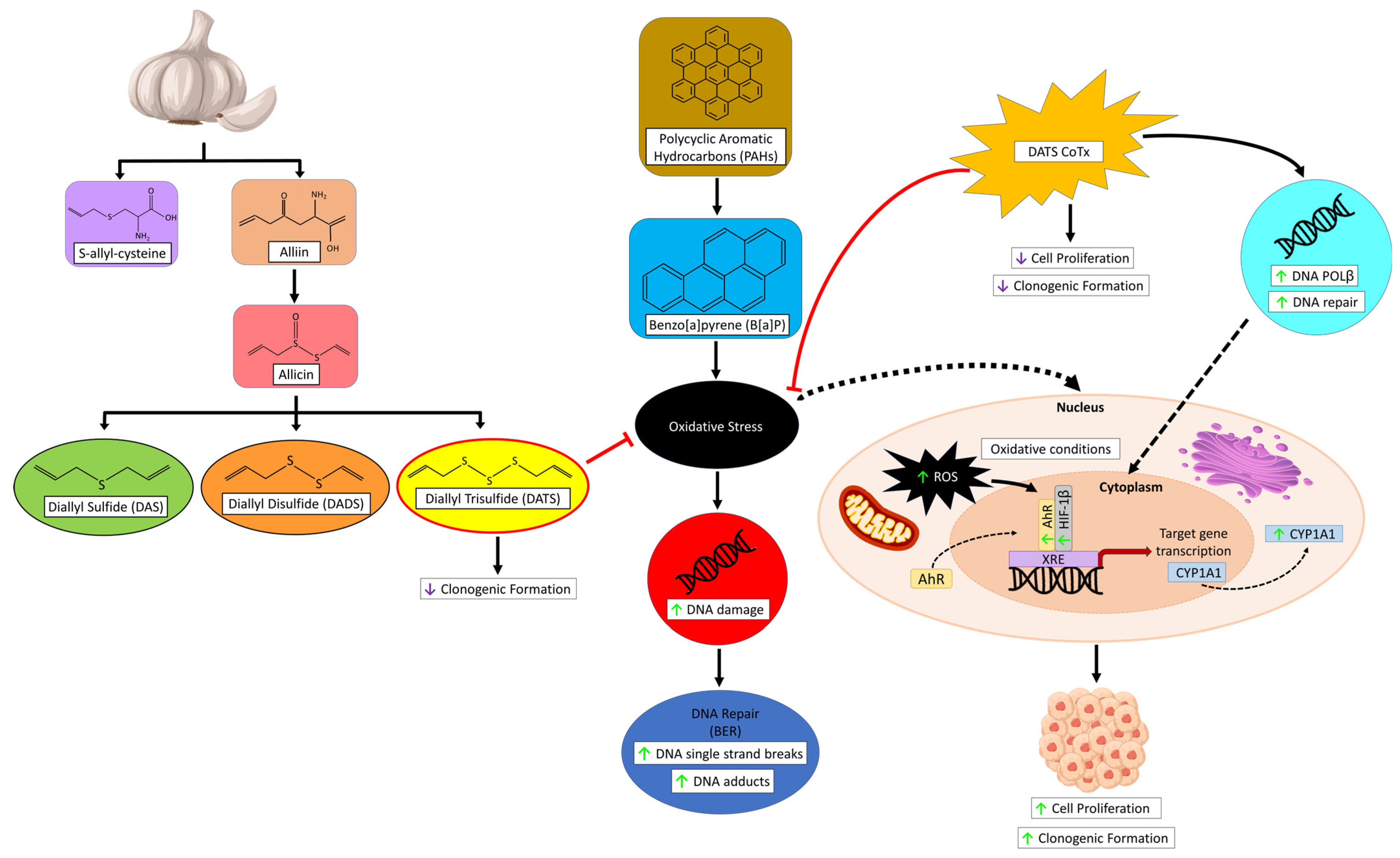 Nutrients 16 00300 g010