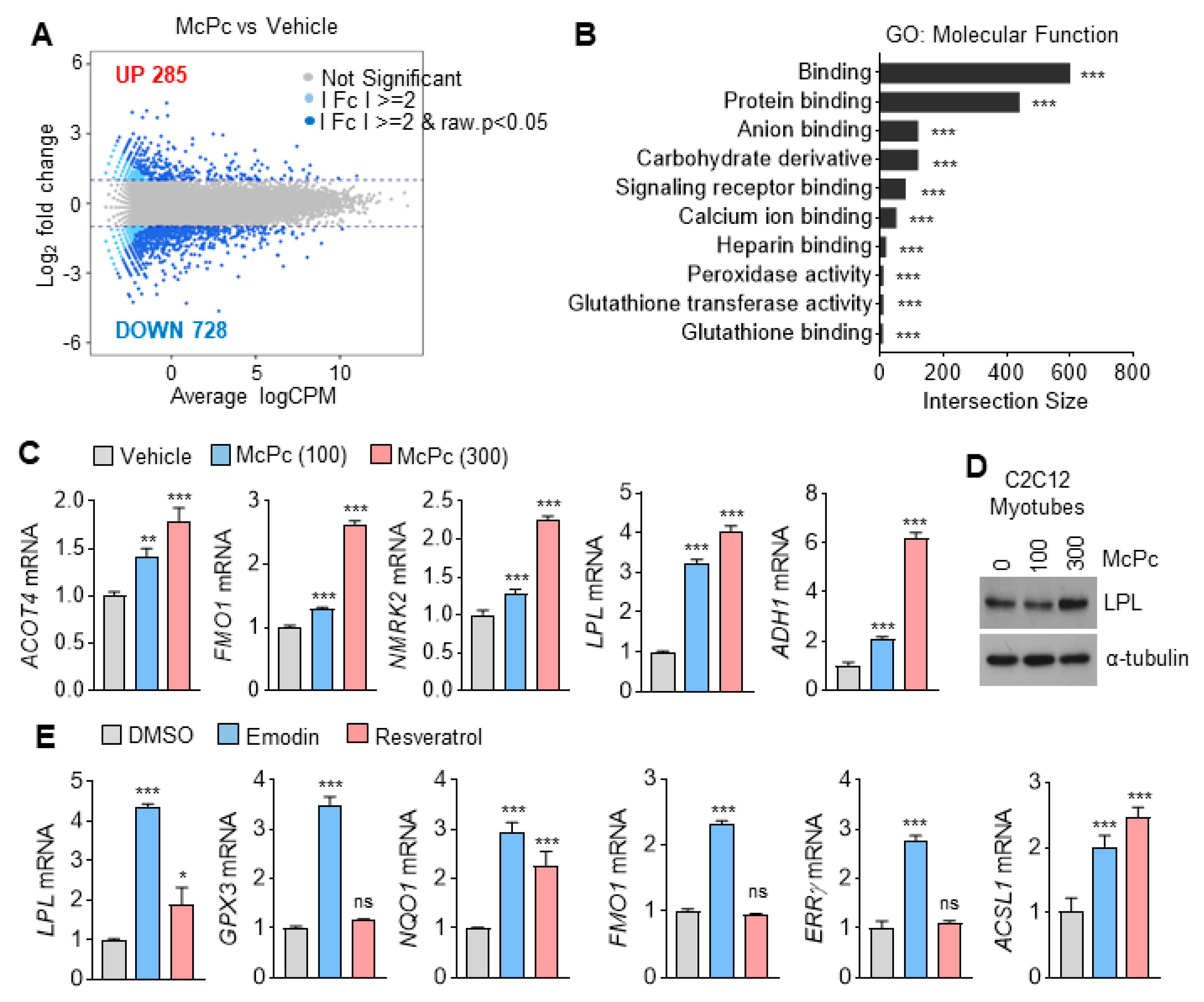 Nutrients 16 00305 g002