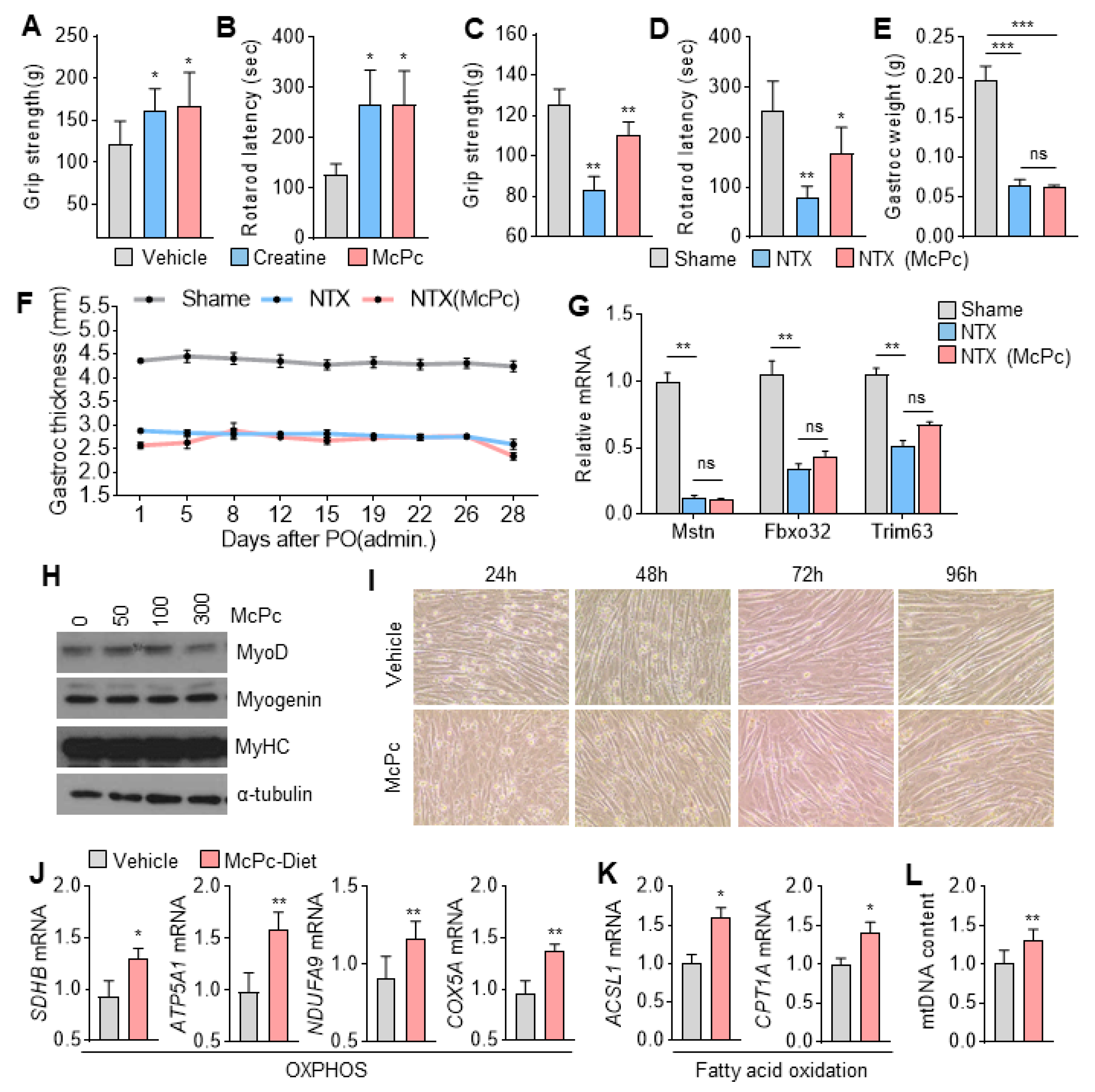 Nutrients 16 00305 g005
