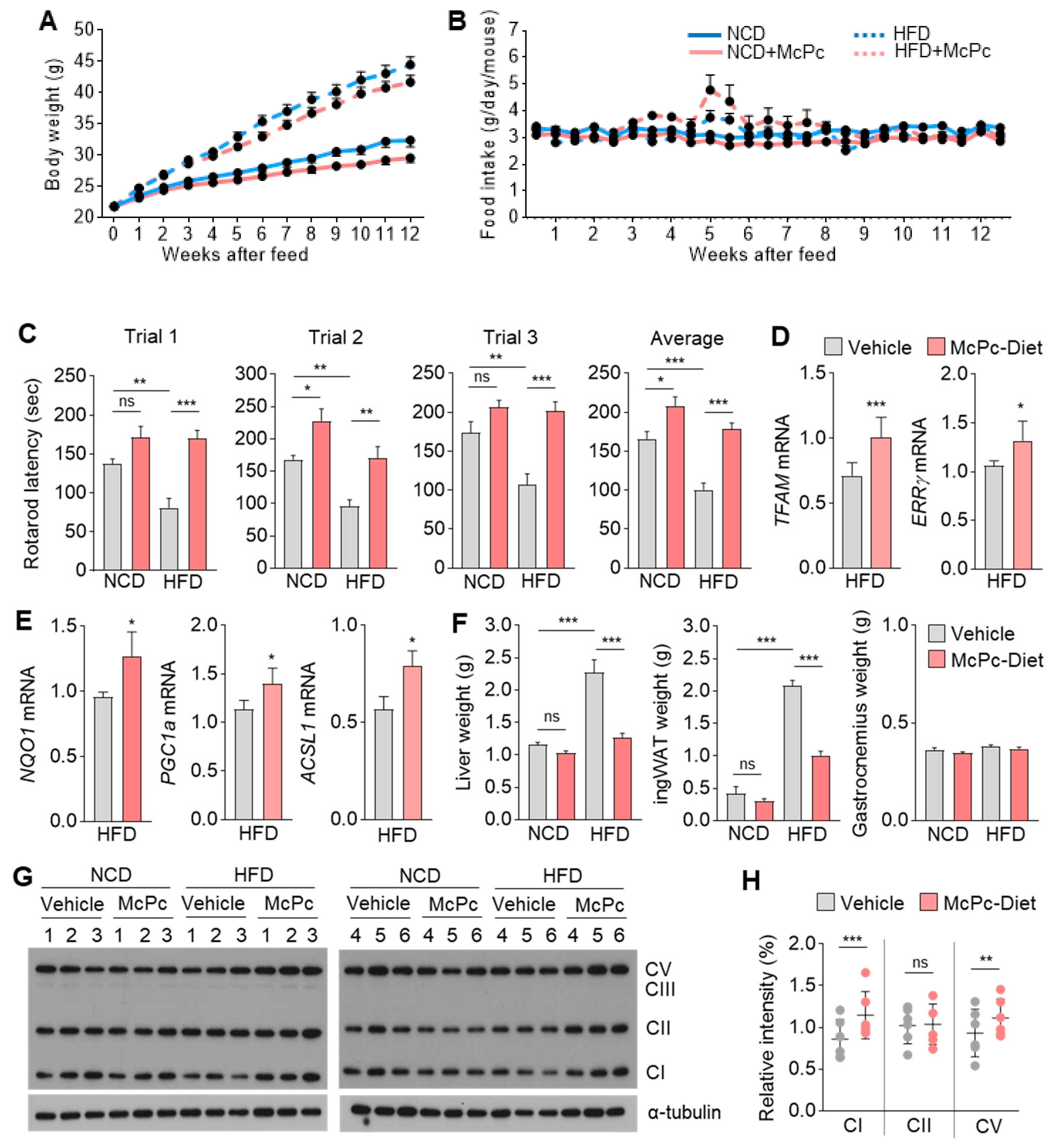 Nutrients 16 00305 g006